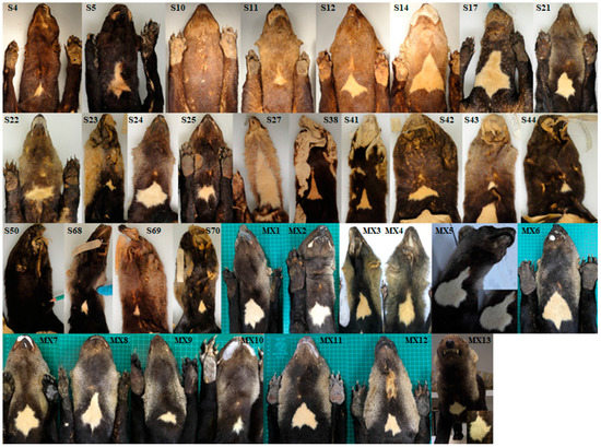 Diversity 10 00007 g0a2b 550