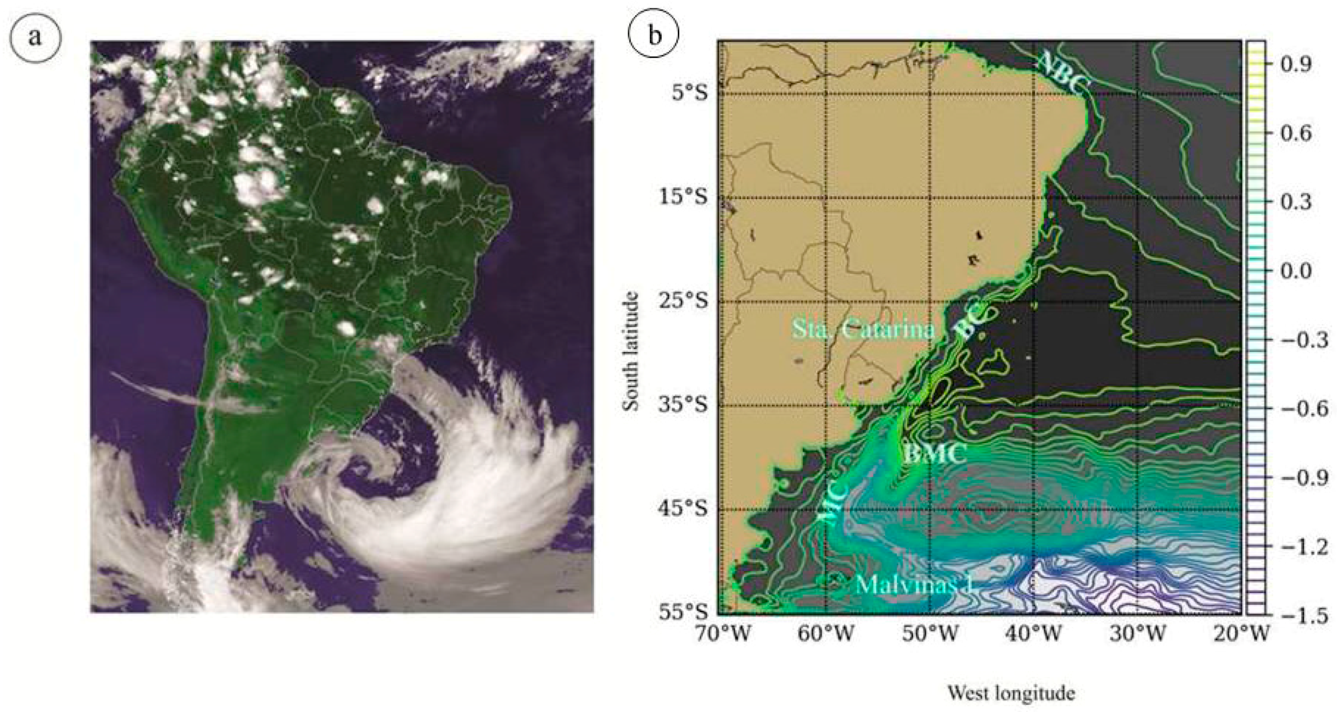 Diversity 10 00011 g006