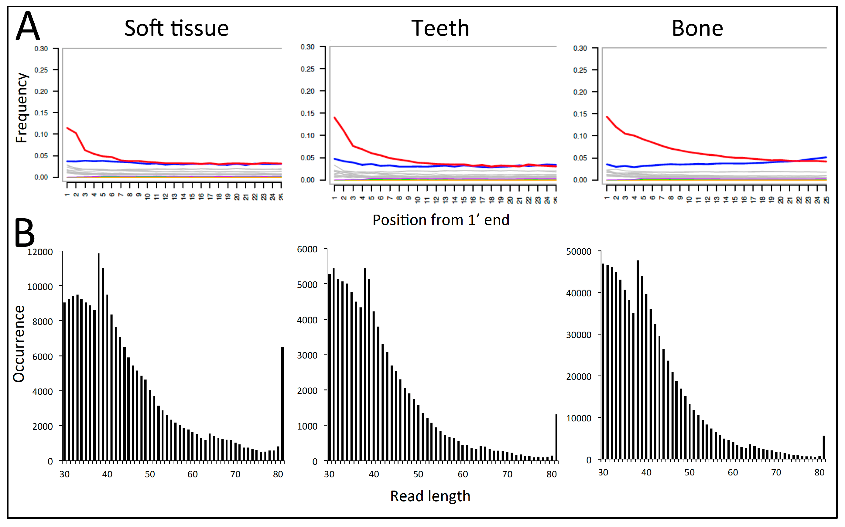 Diversity 10 00014 g002