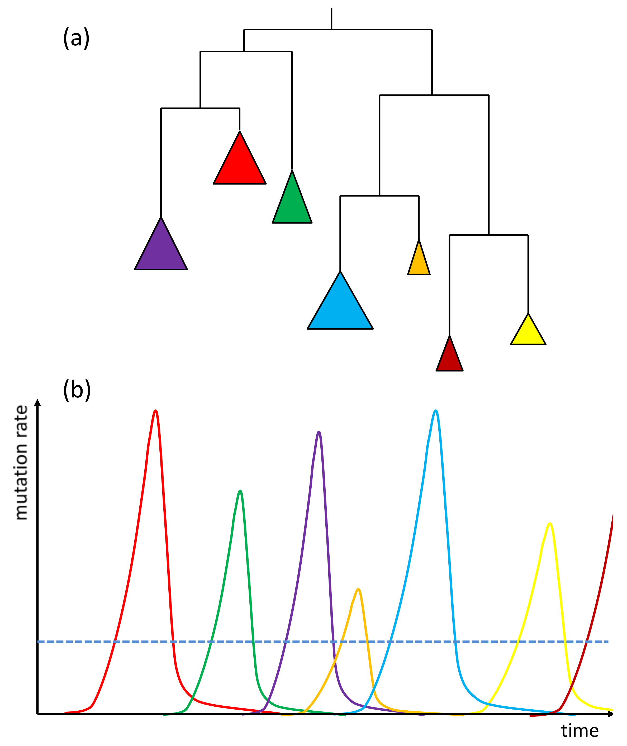 Diversity 10 00018 g002
