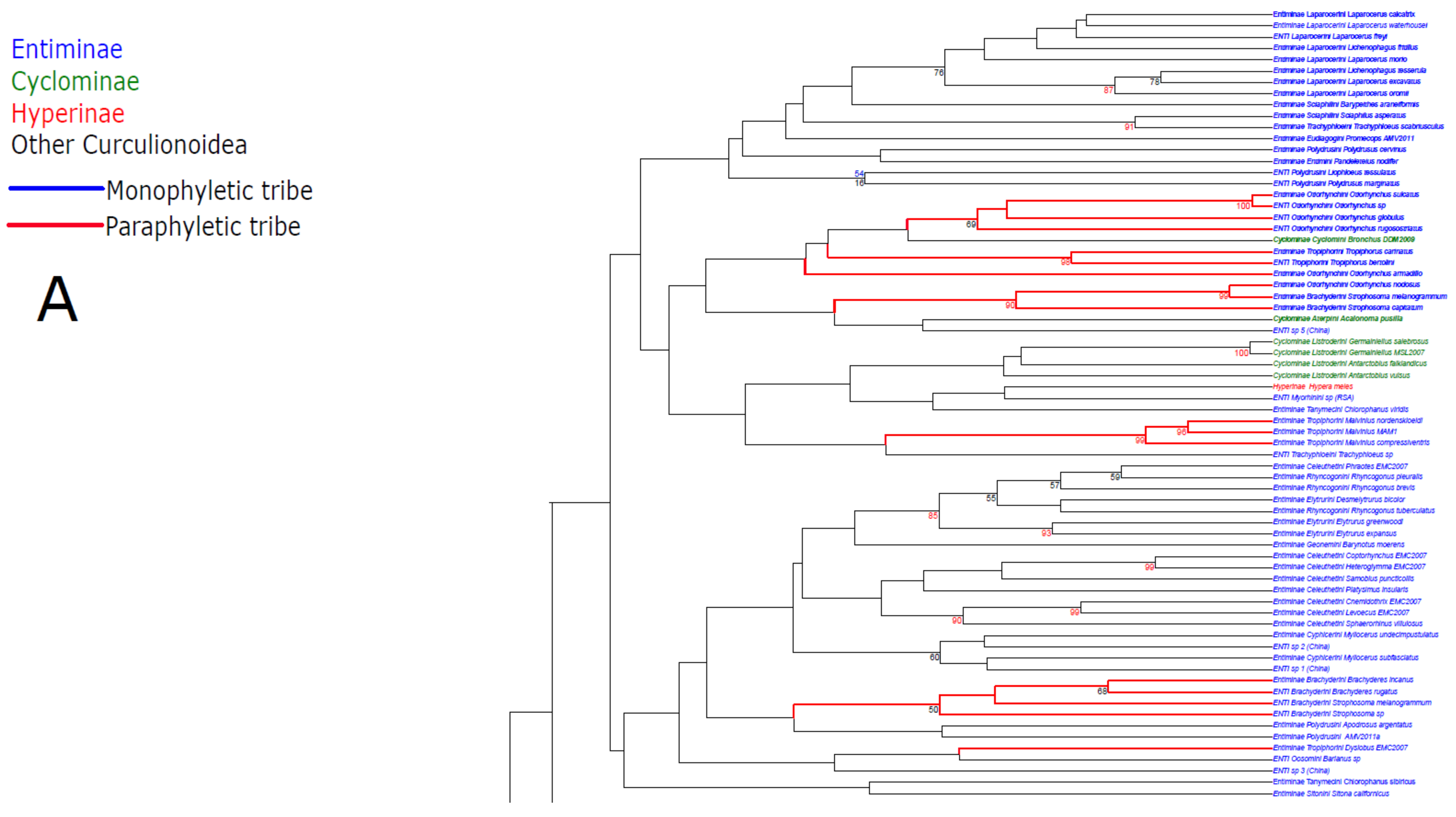 Diversity 10 00021 g001a