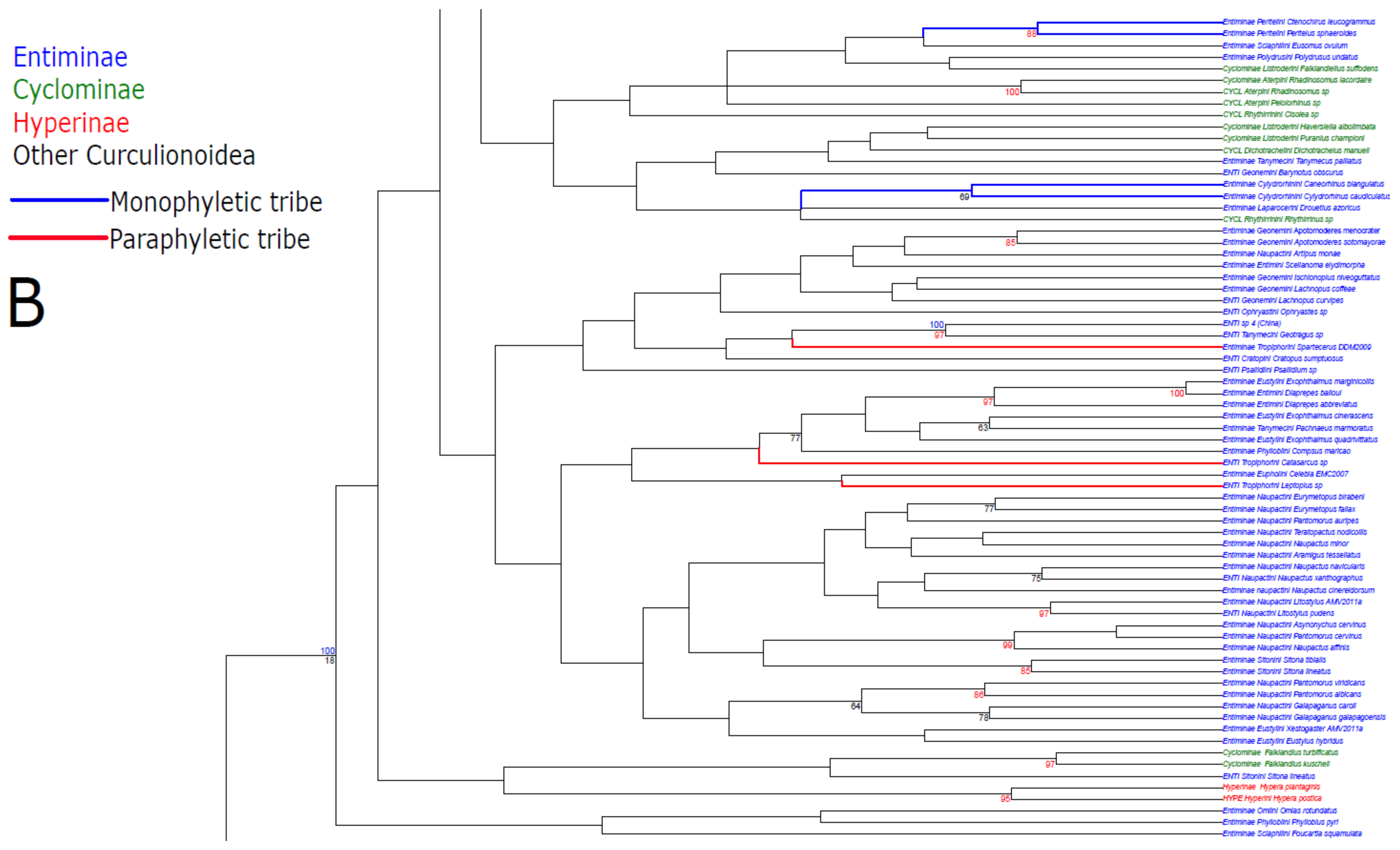 Diversity 10 00021 g001b