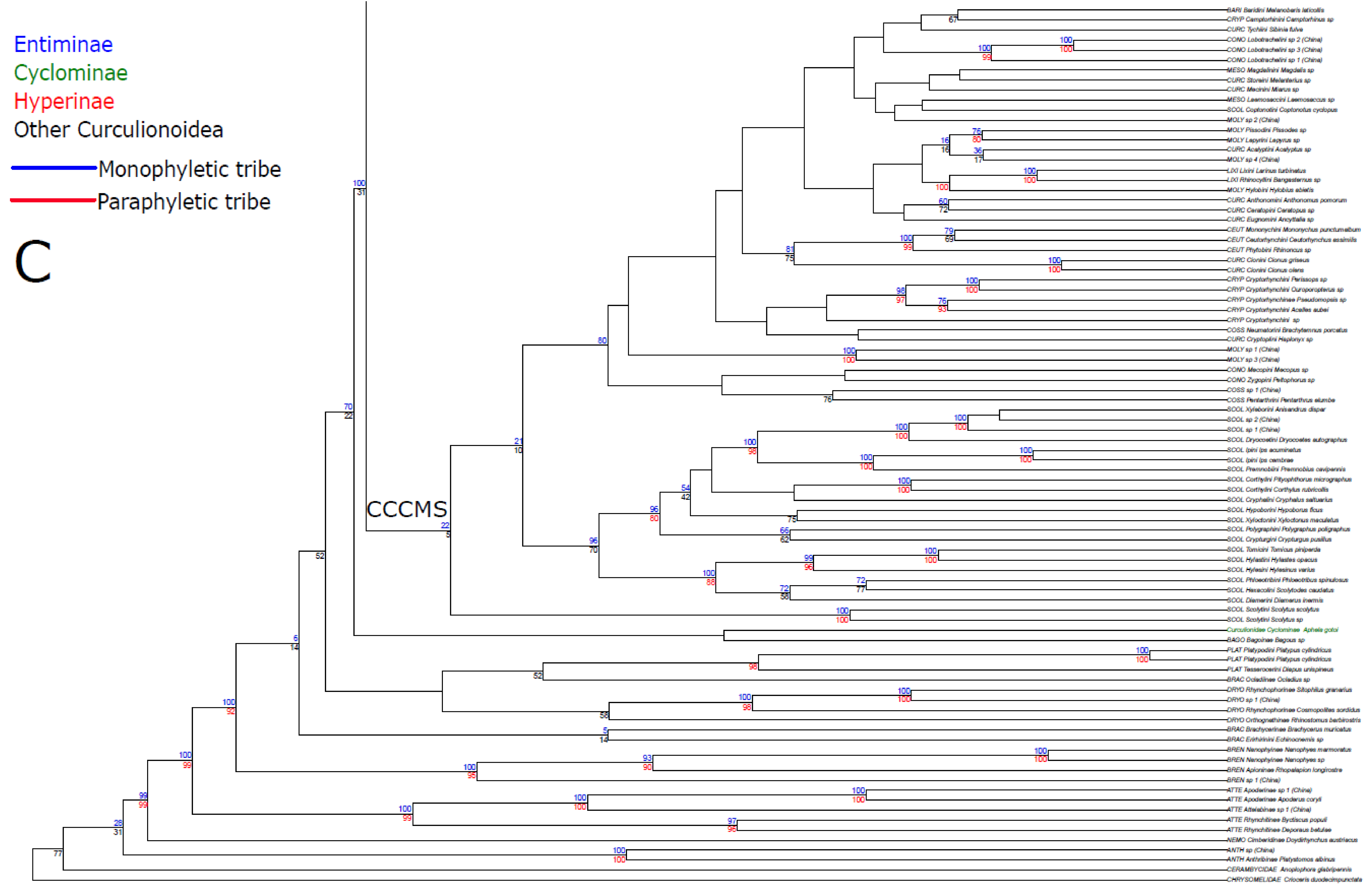 Diversity 10 00021 g001c