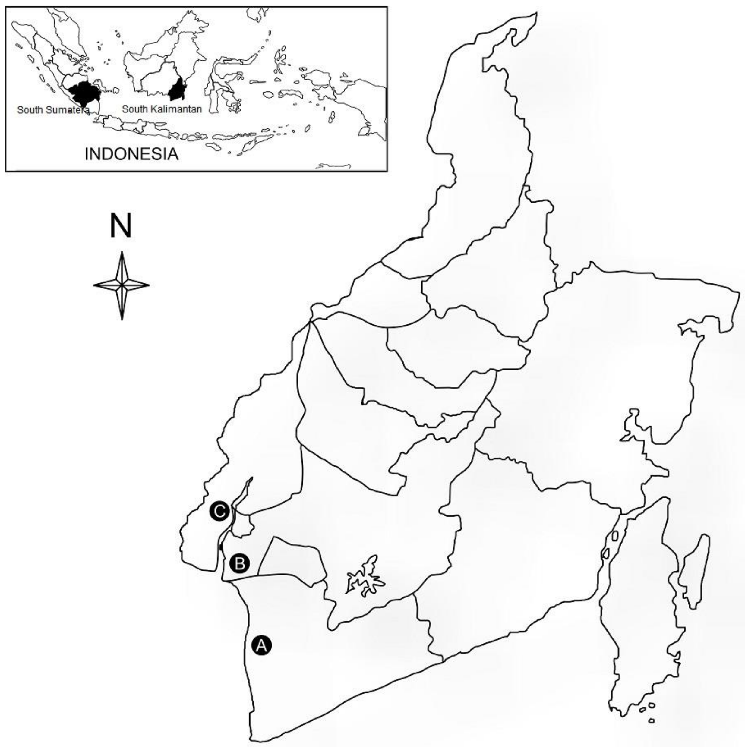 Diversity 10 00022 g001