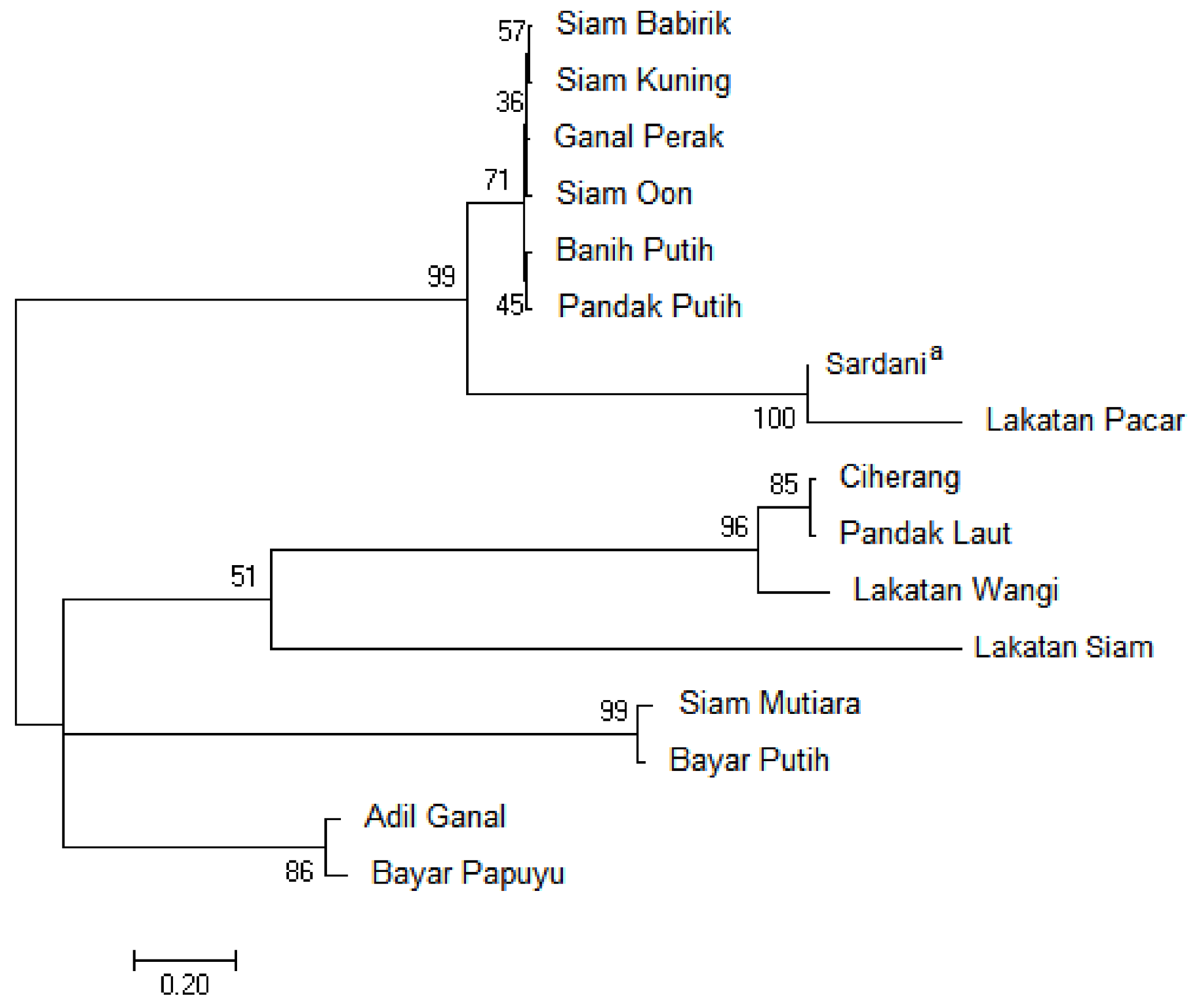 Diversity 10 00022 g002