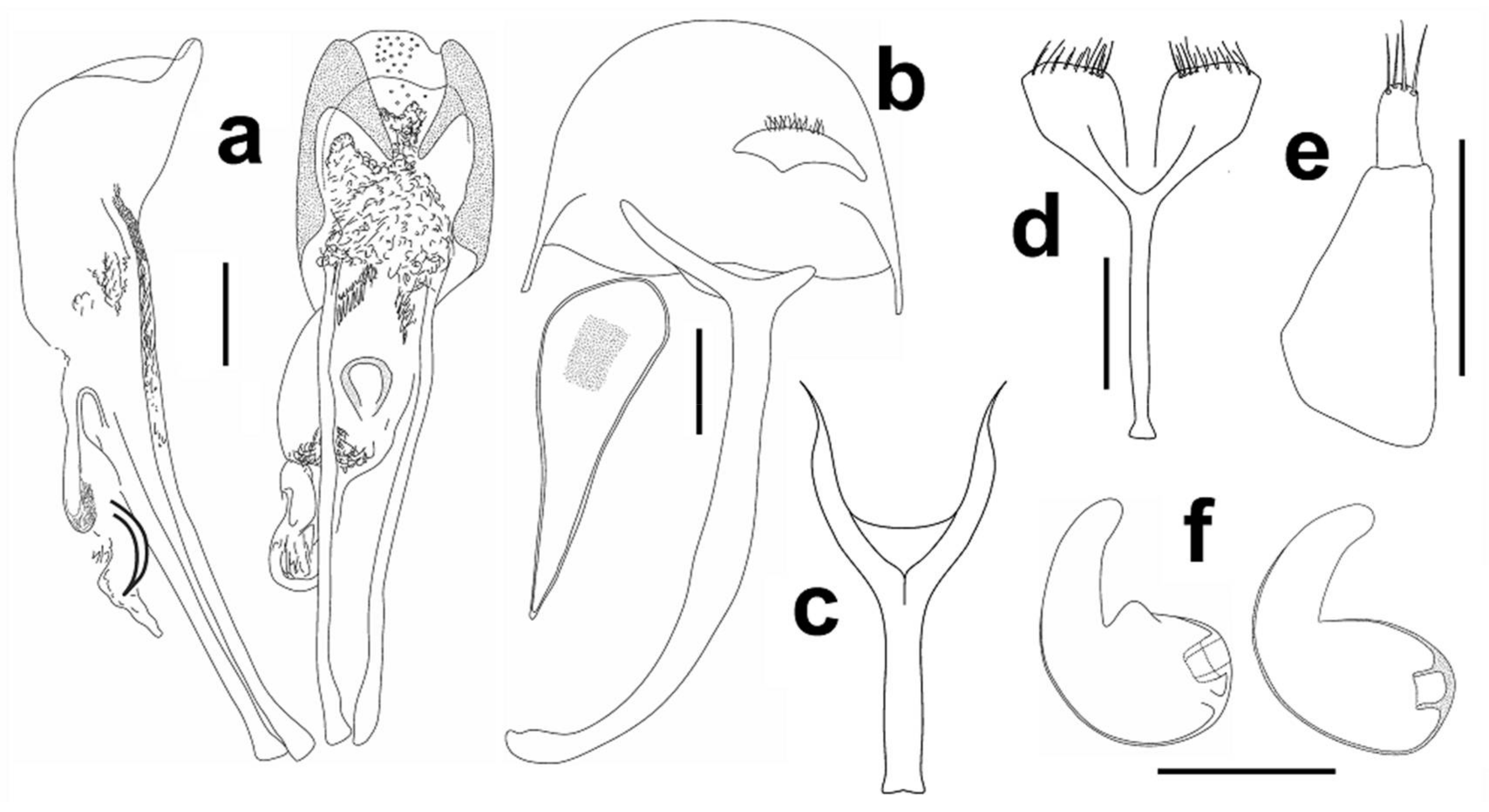 Diversity 10 00028 g003