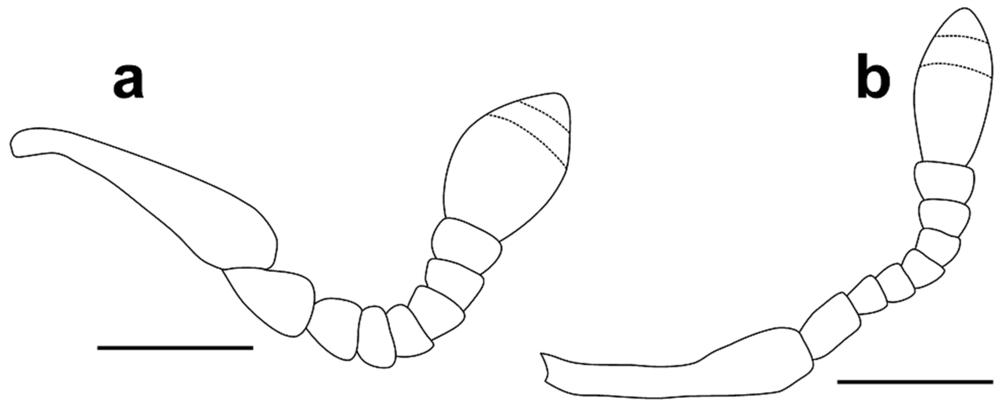 Diversity 10 00028 g005