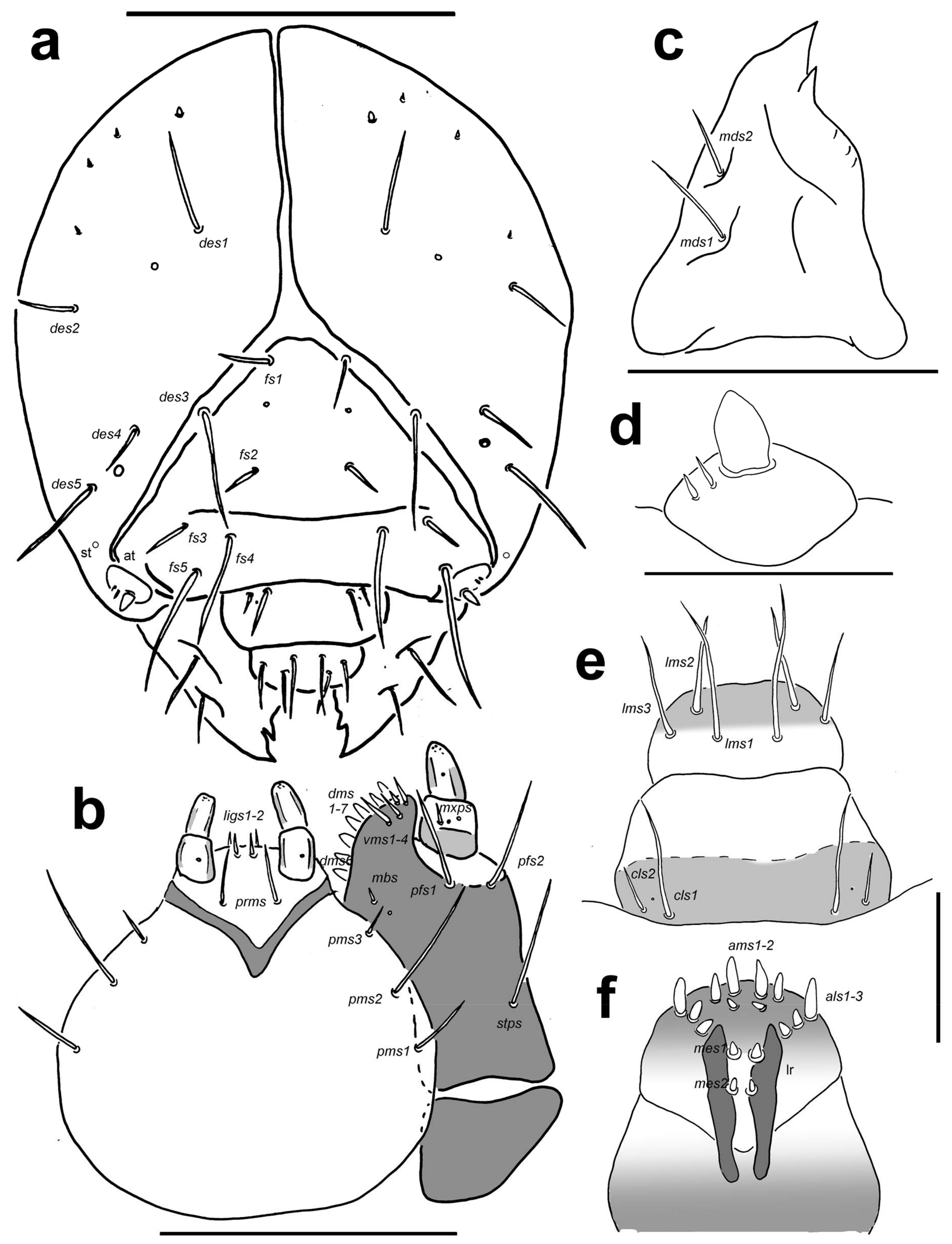 Diversity 10 00028 g009