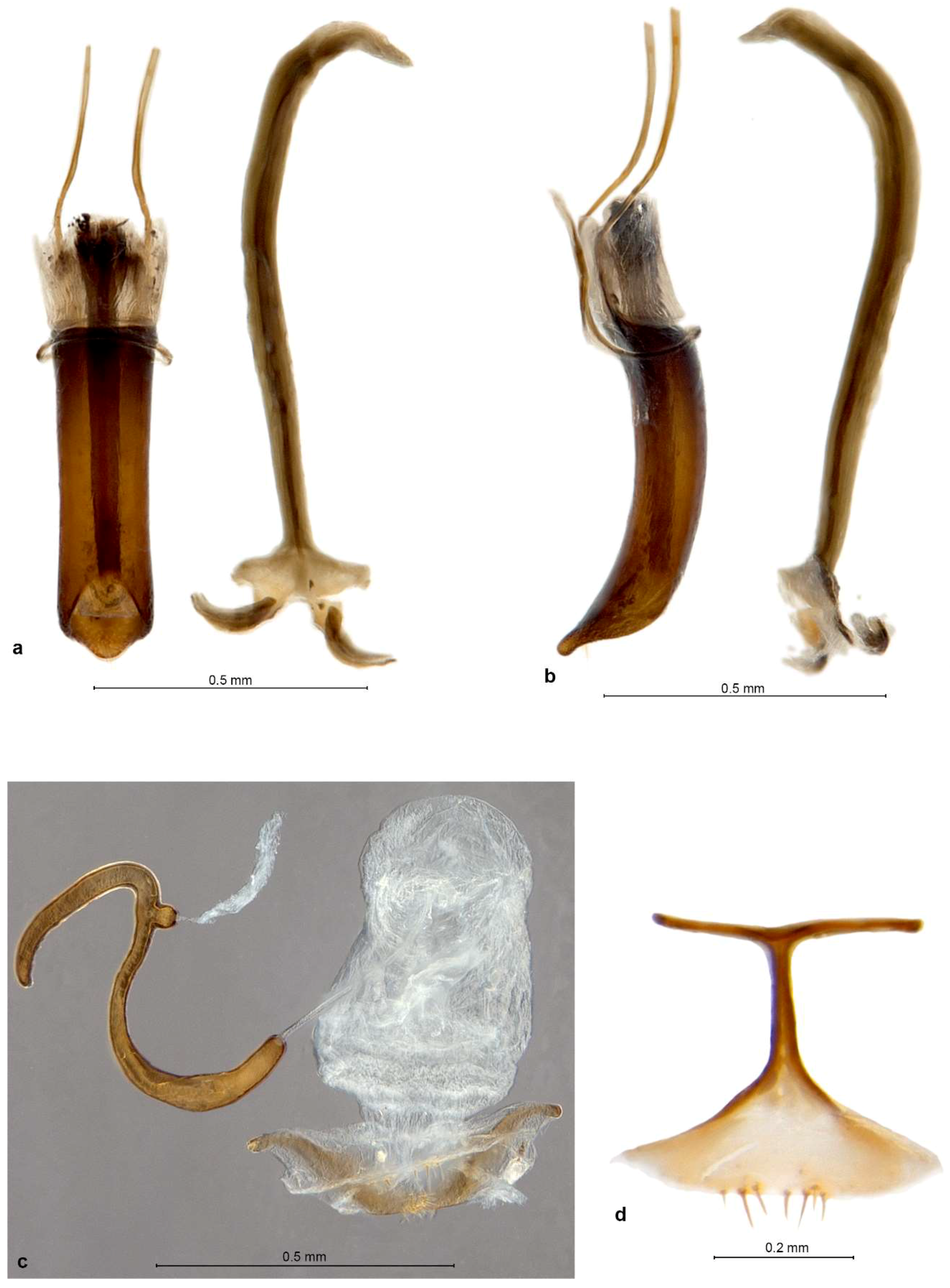 Diversity 10 00030 g009