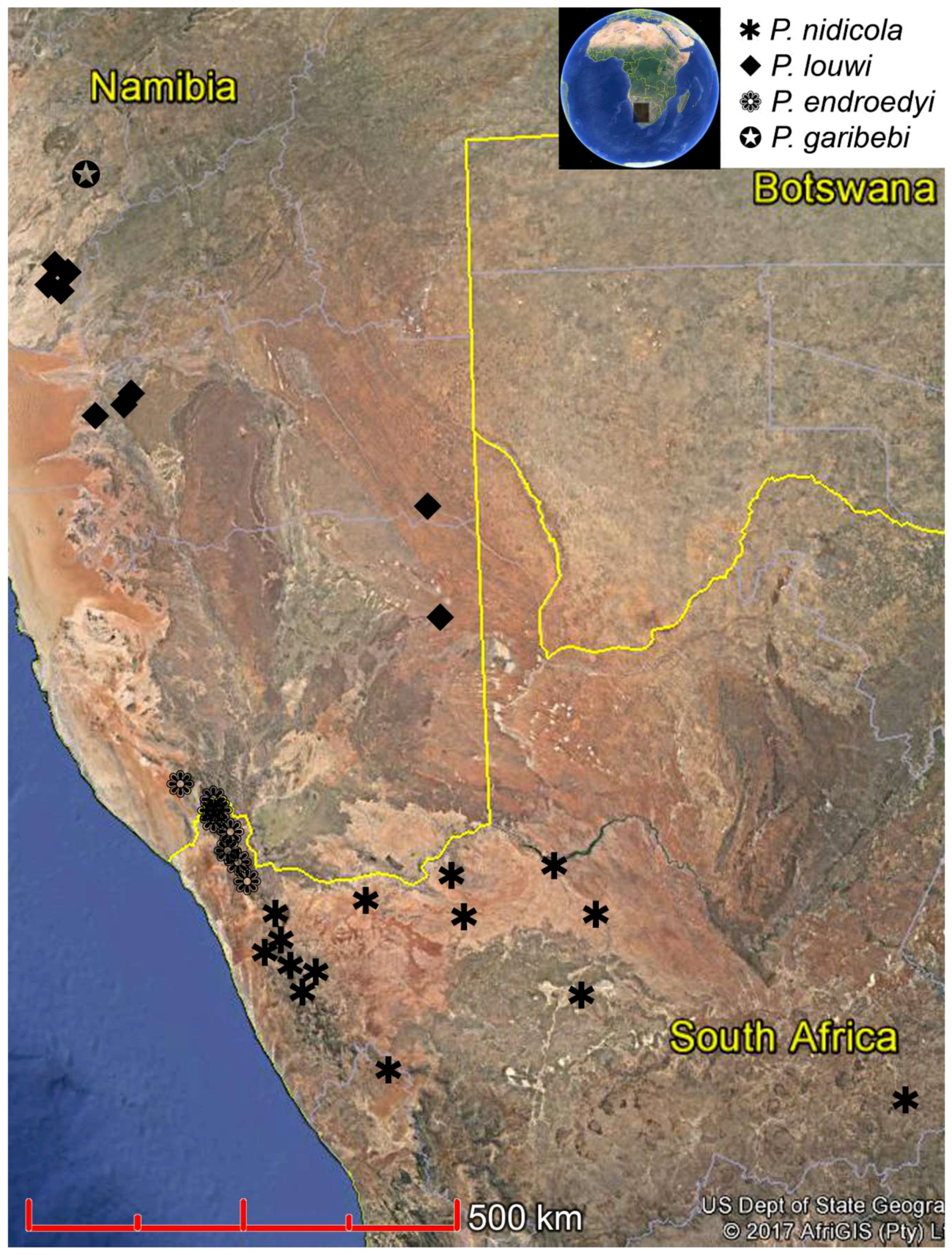 Diversity 10 00030 g010