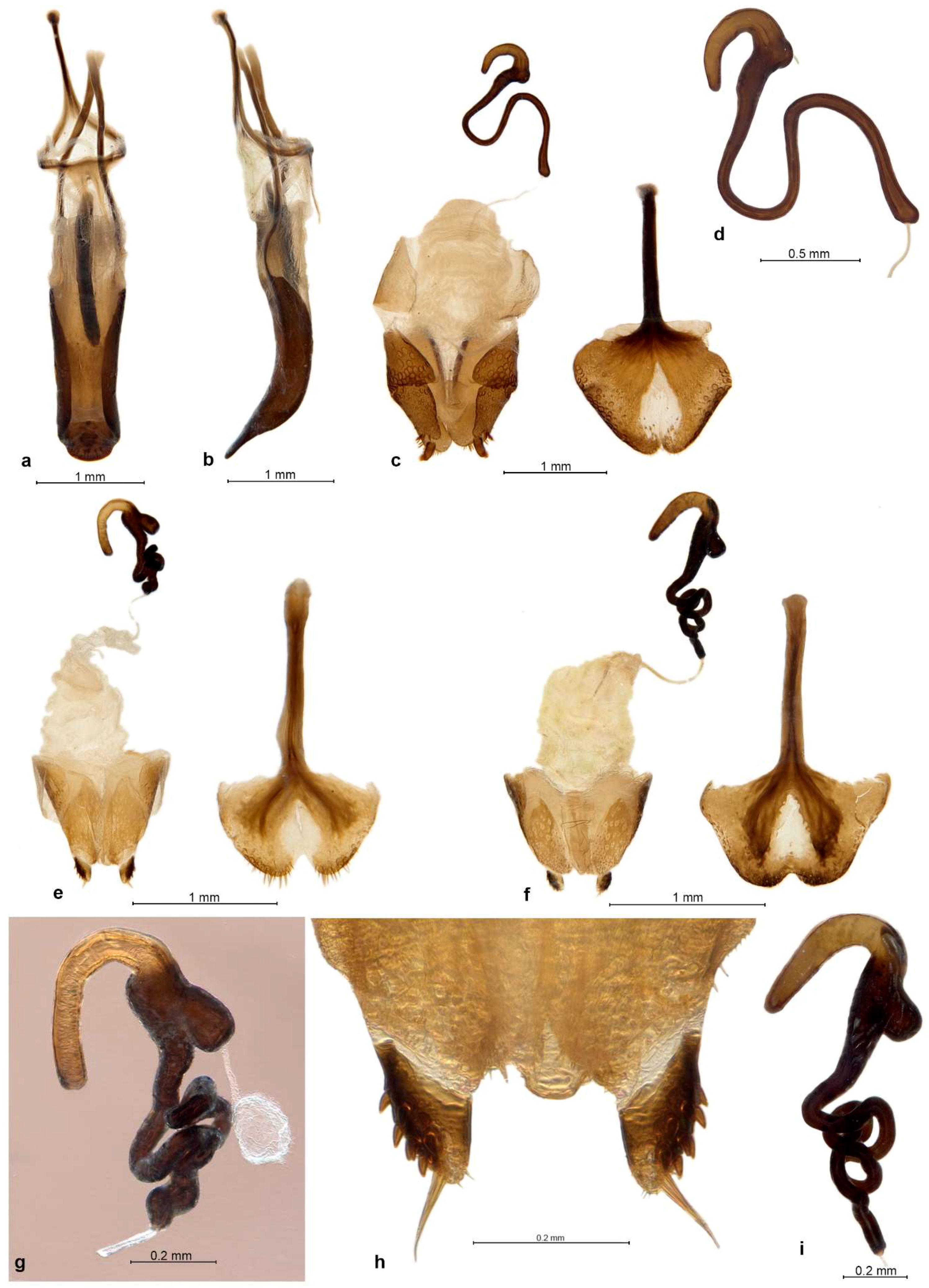 Diversity 10 00030 g012