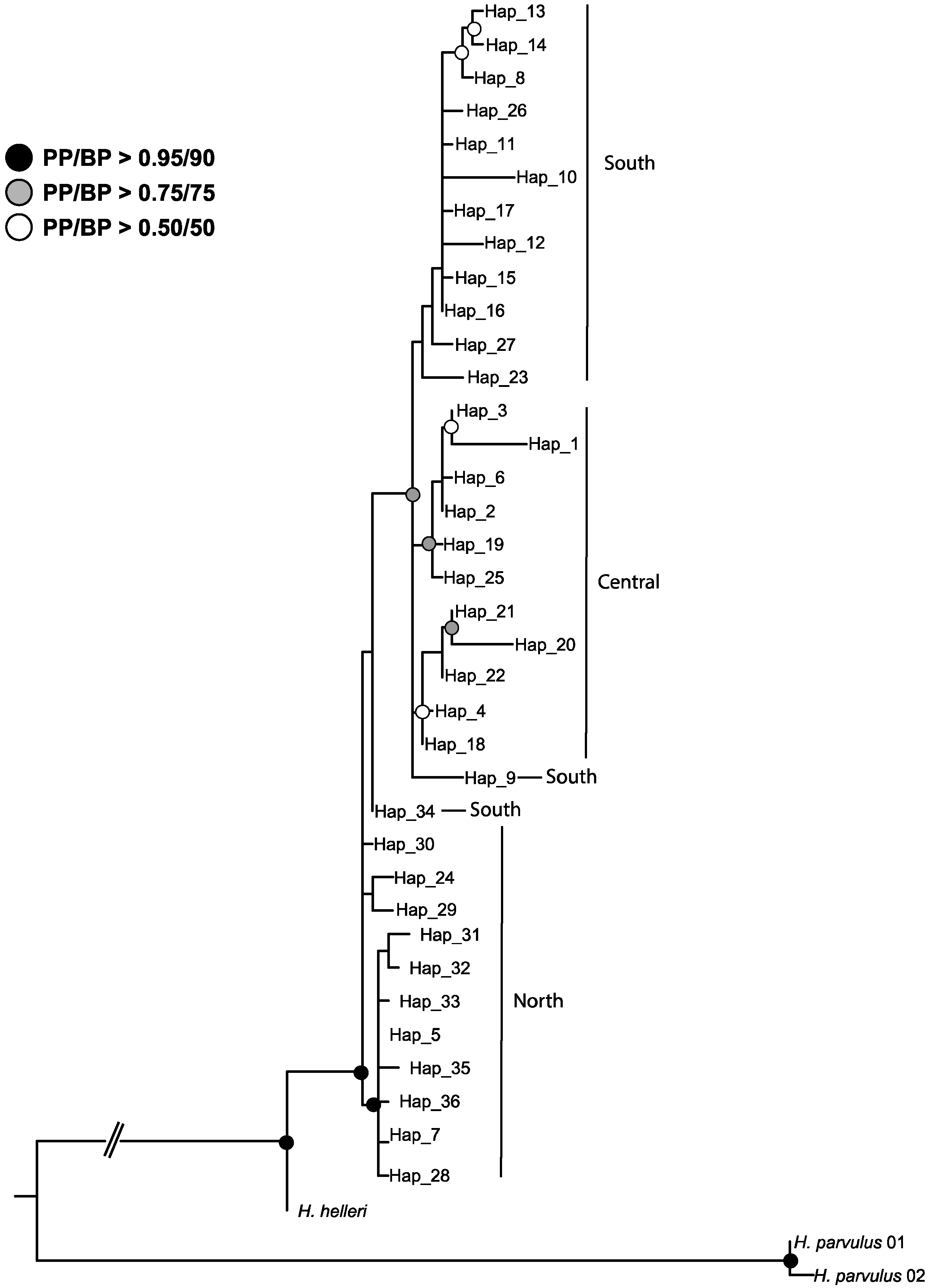 Diversity 10 00033 g004