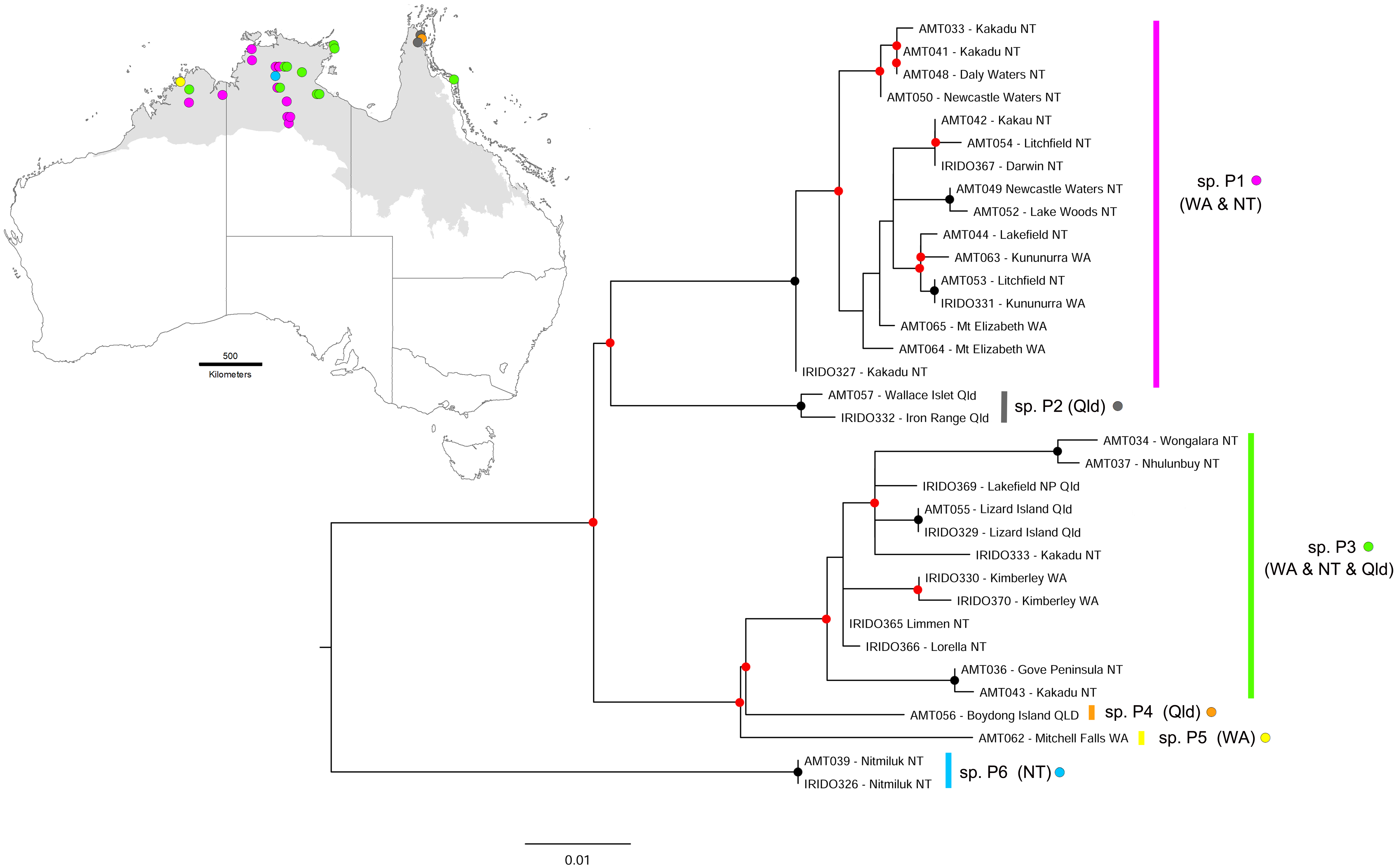 Diversity 10 00036 g008 Diversity 10 00036 g008