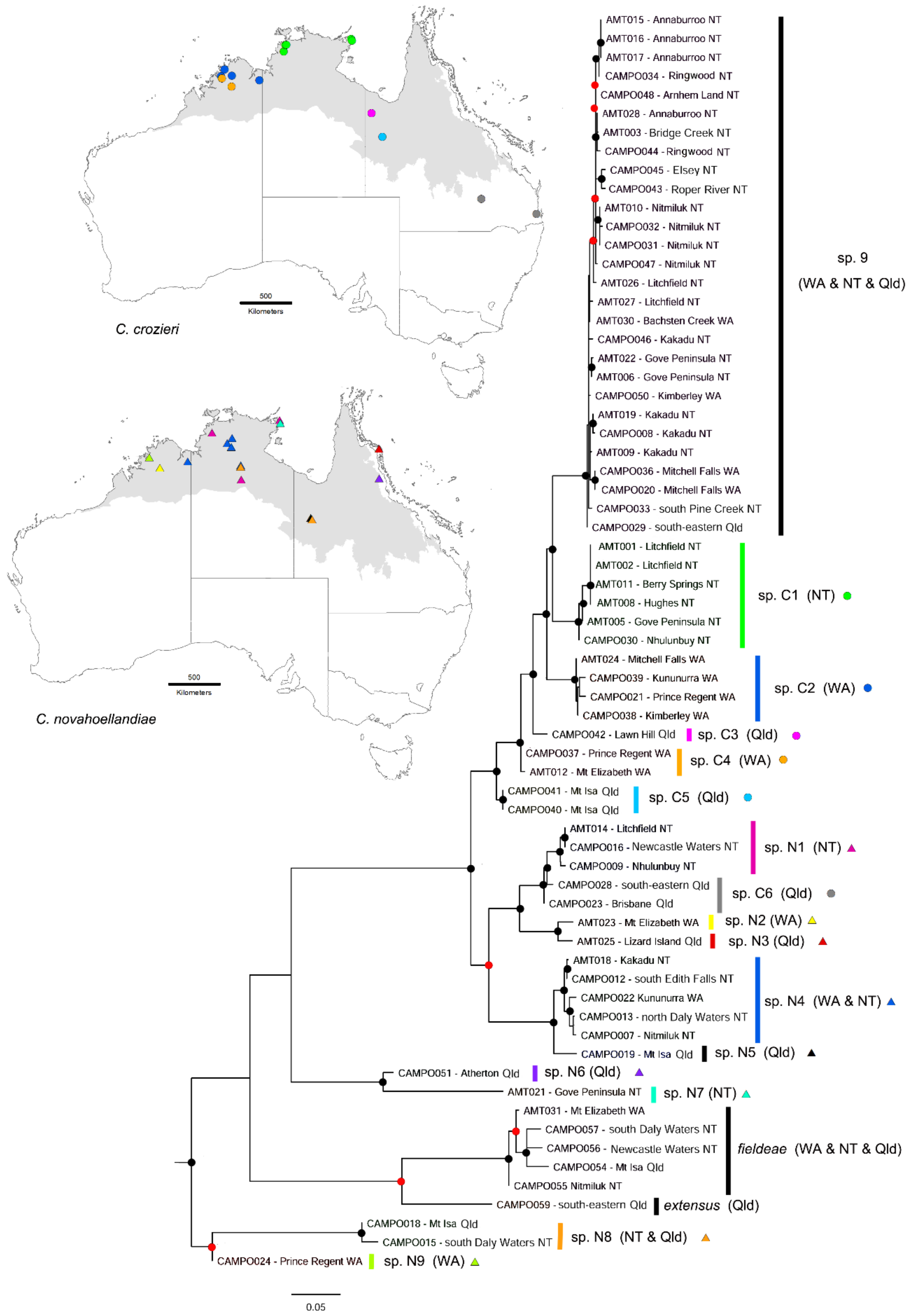 Diversity 10 00036 g012 Diversity 10 00036 g012