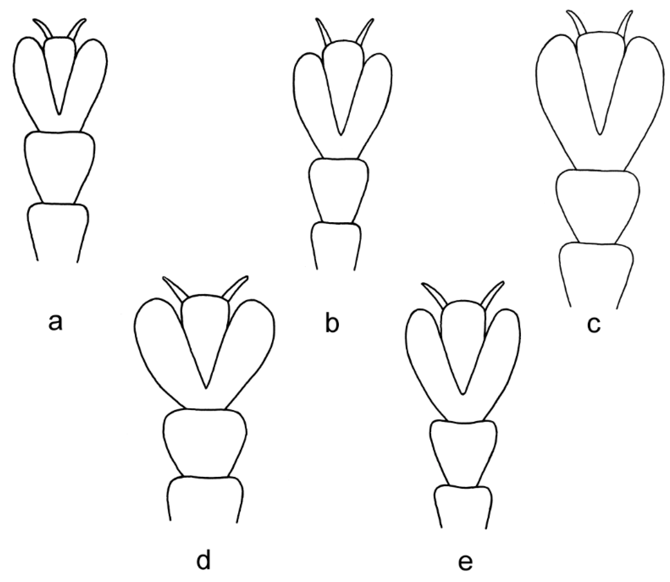 Diversity 10 00037 g004