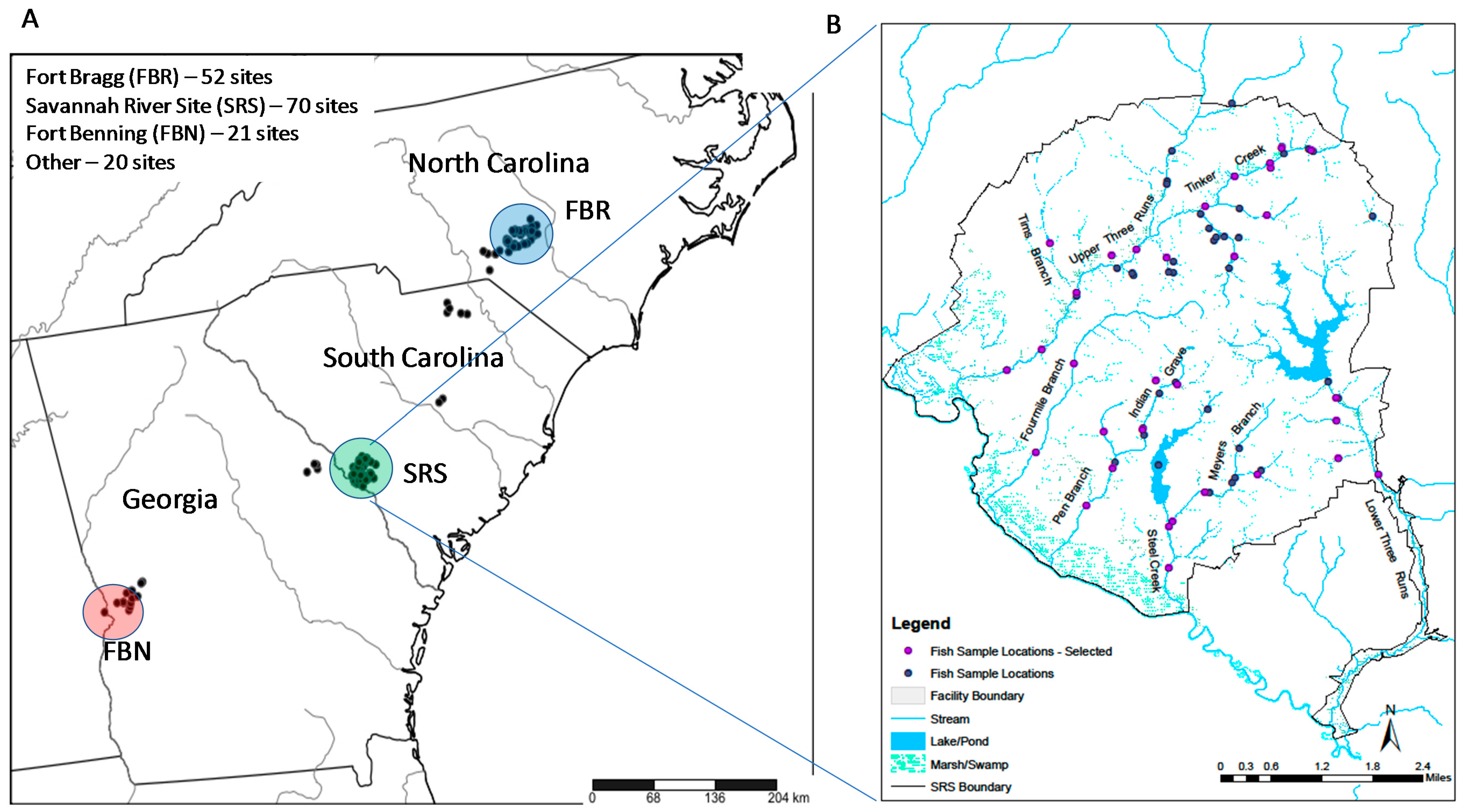 Diversity 10 00042 g001