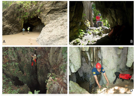 Diversity 10 00043 g0a1