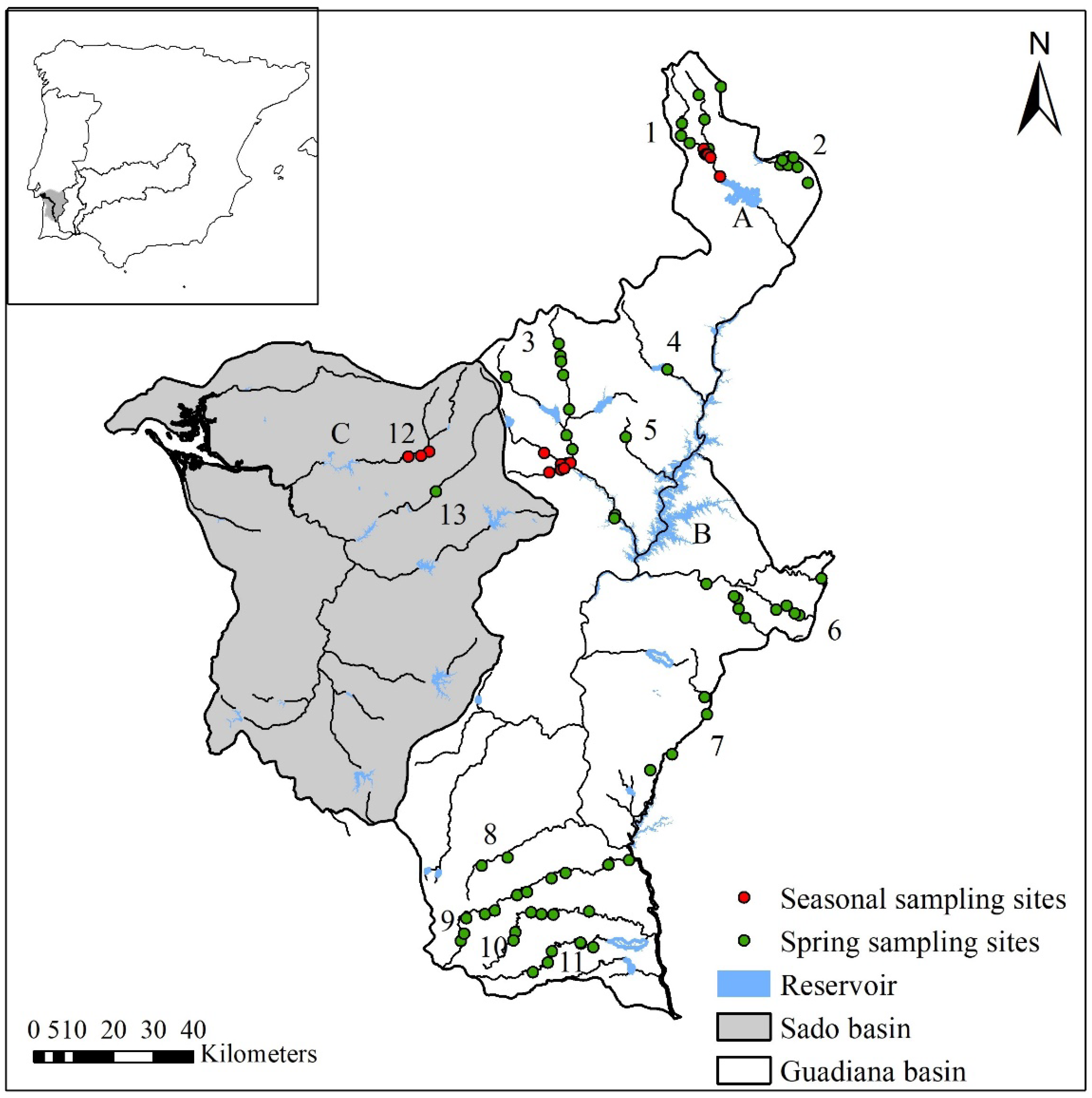 Diversity 10 00047 g001