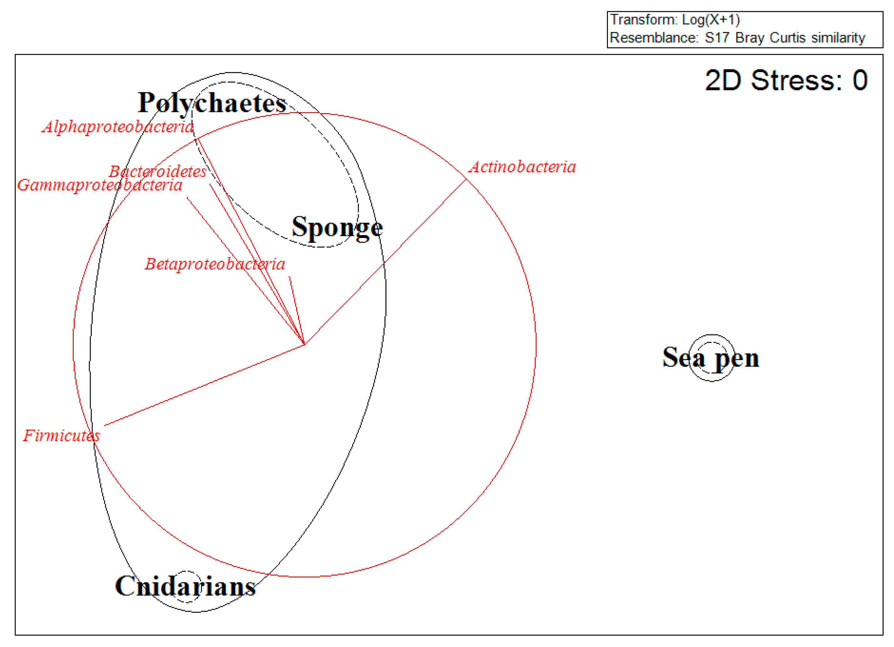Diversity 10 00052 g001