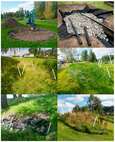 Diversity 10 00056 g0a2 550