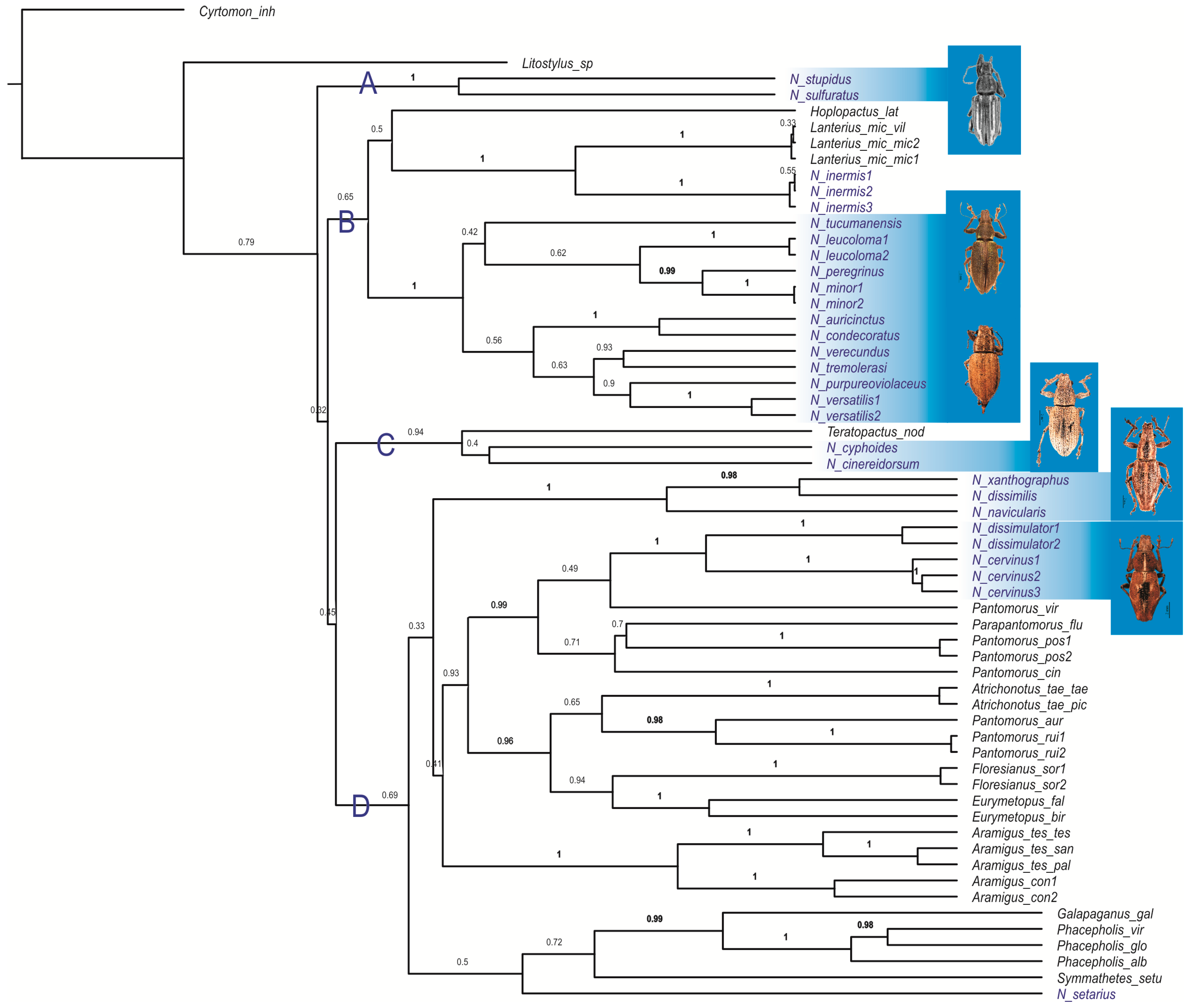 Diversity 10 00059 g001