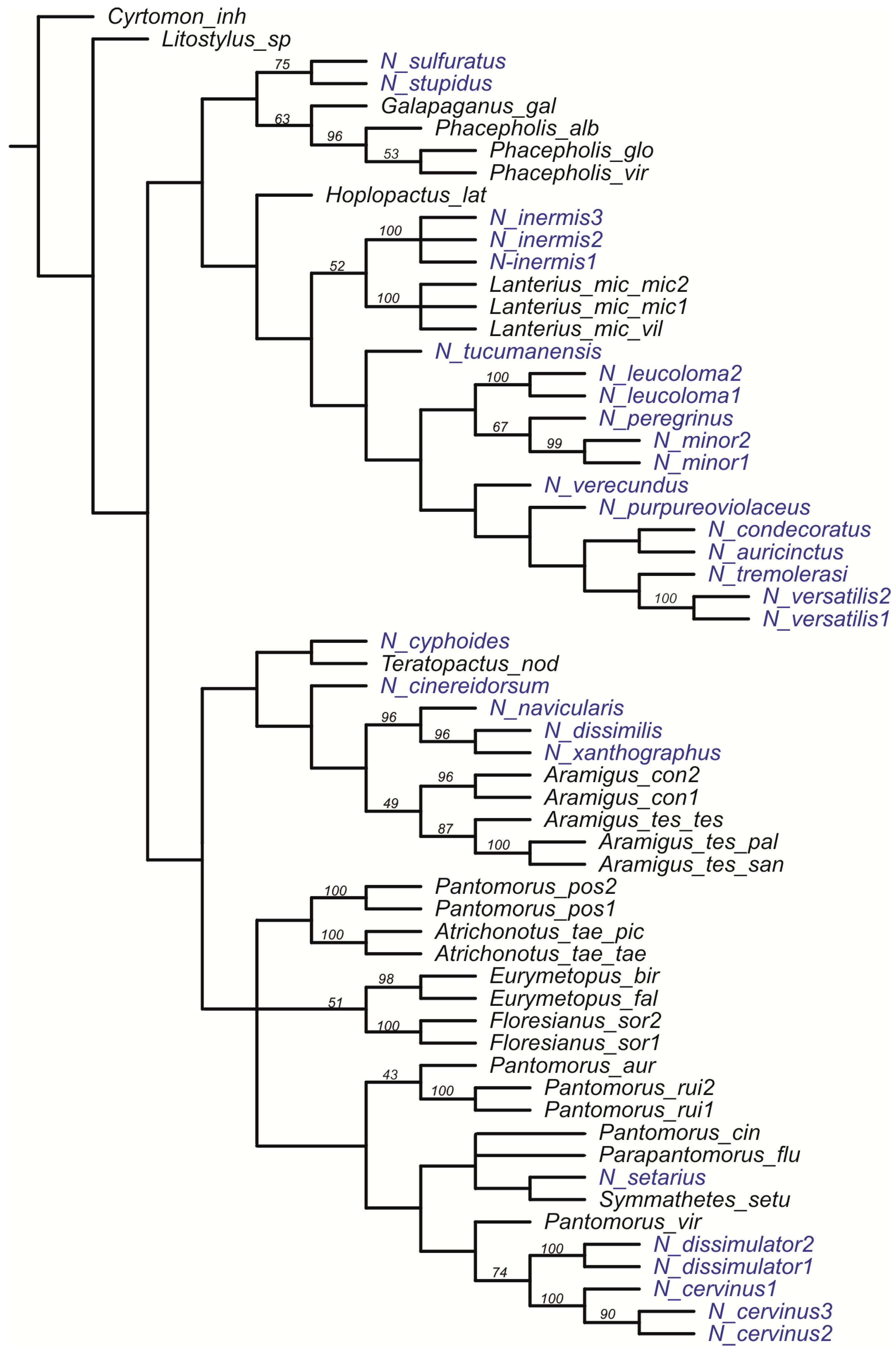 Diversity 10 00059 g002