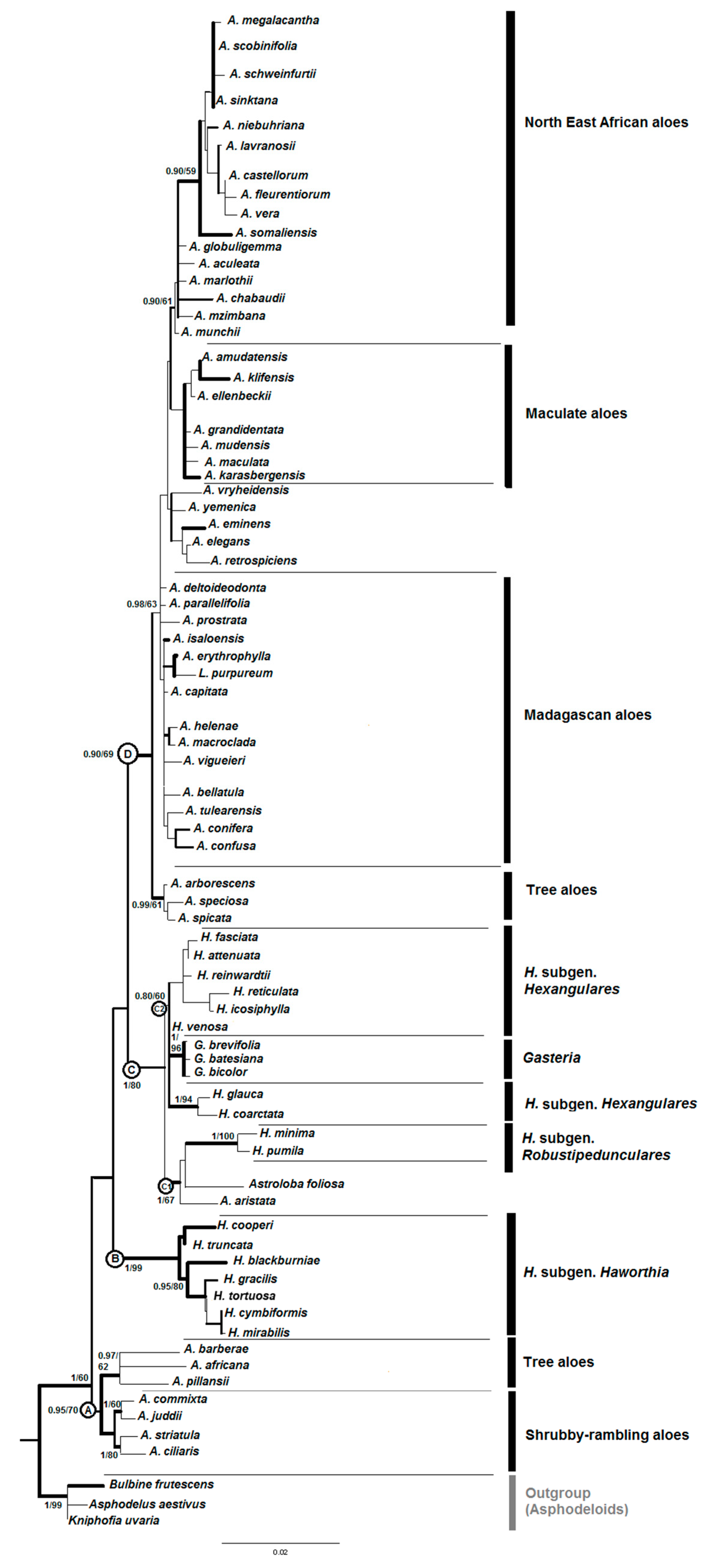 Diversity 10 00060 g001