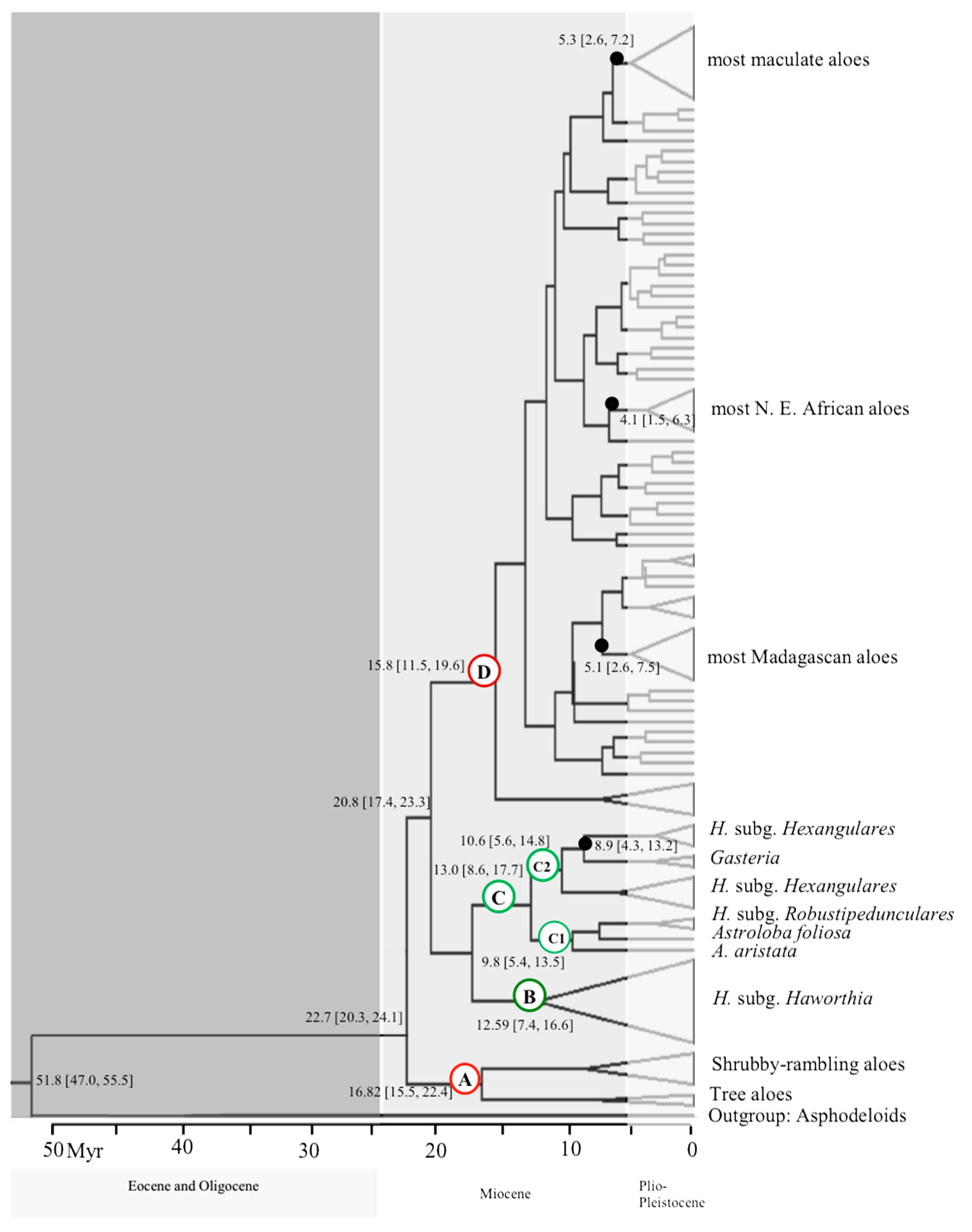 Diversity 10 00060 g002