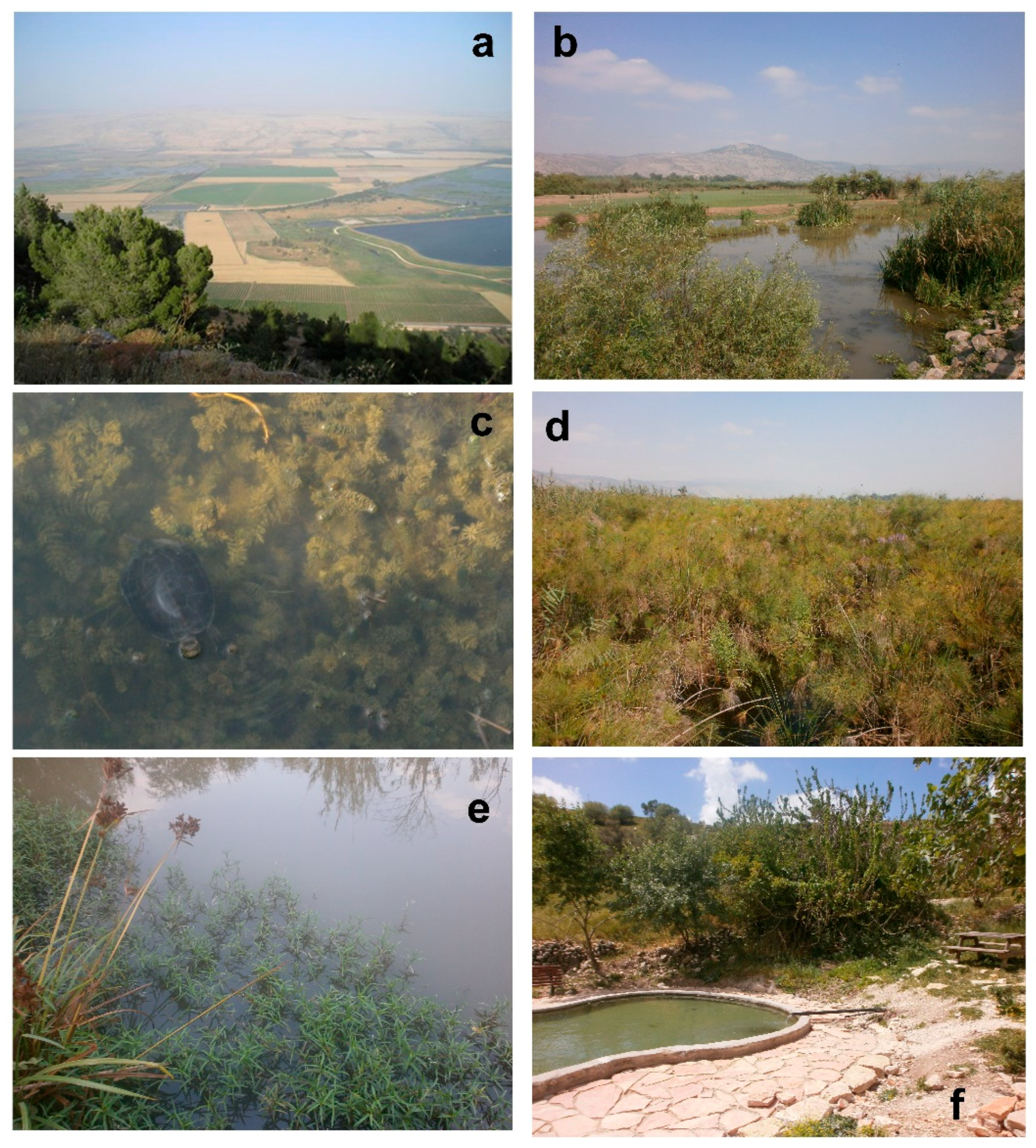 Diversity 10 00077 g003