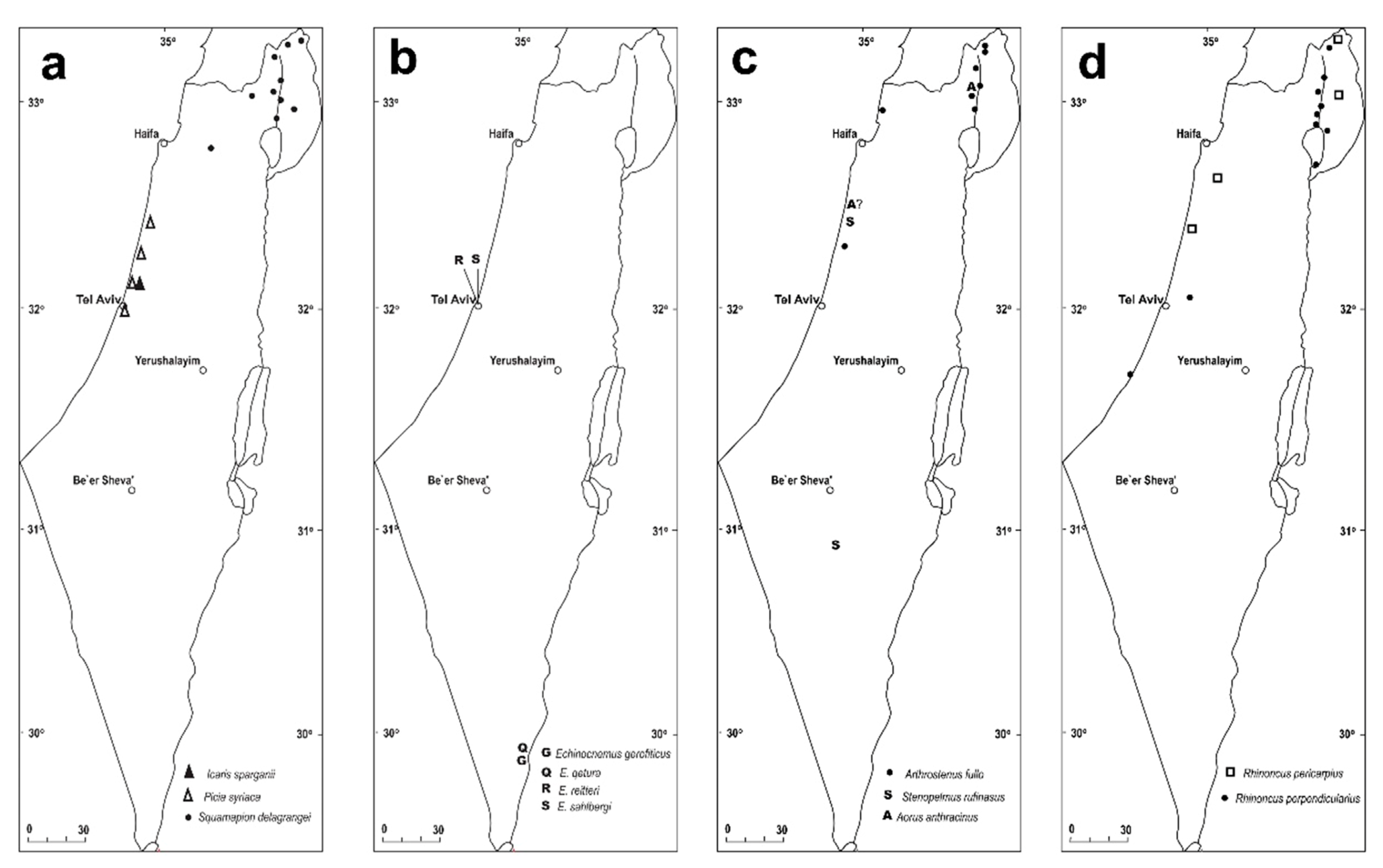 Diversity 10 00077 g013