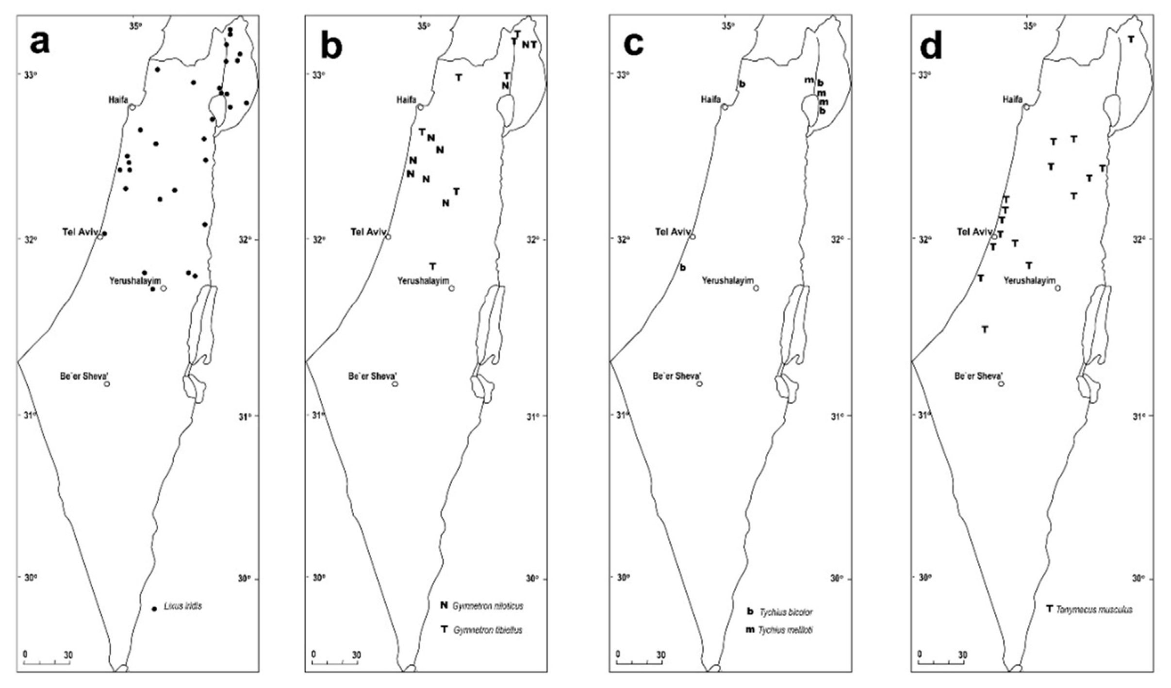 Diversity 10 00077 g015
