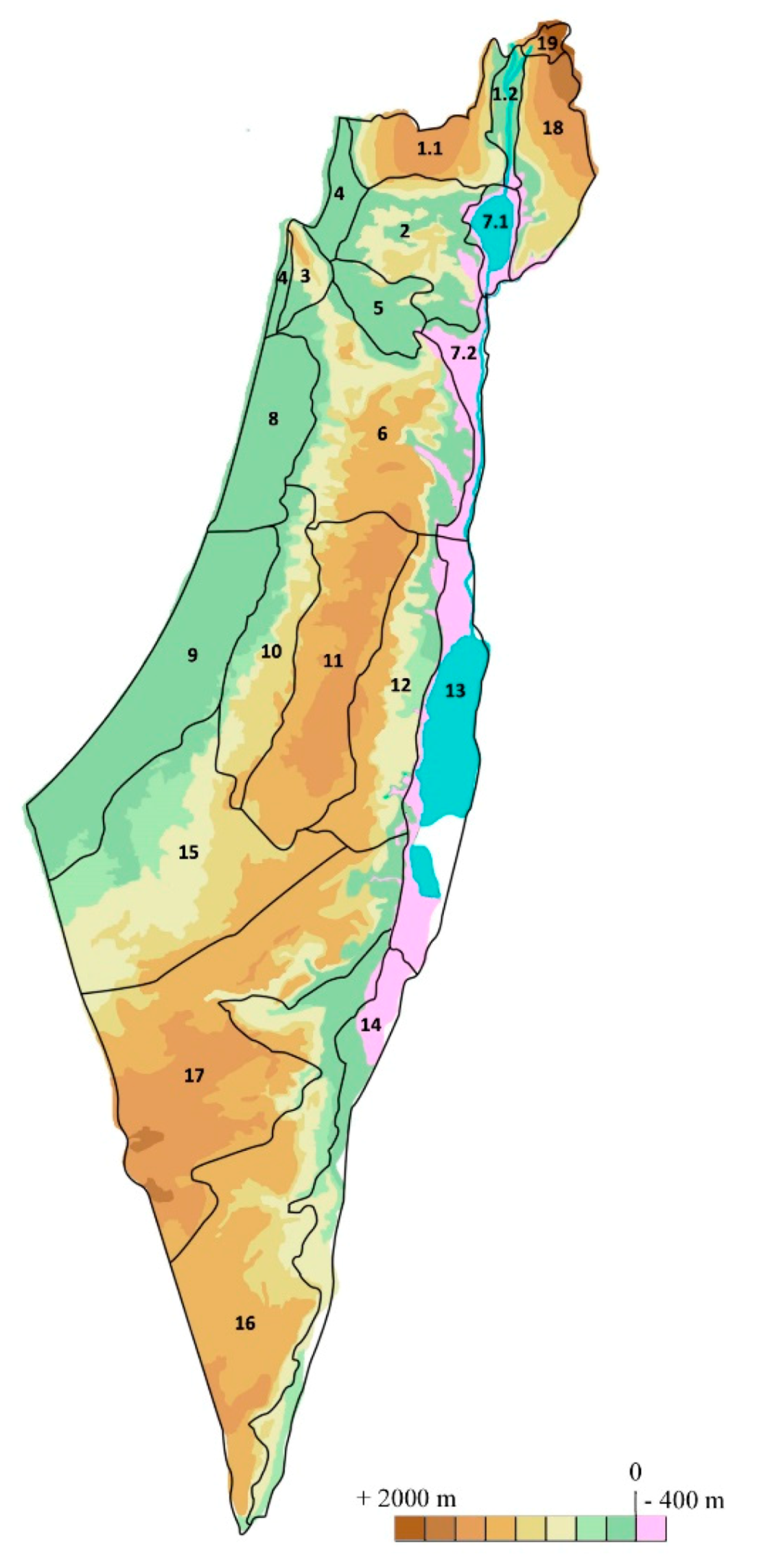 Diversity 10 00077 g017