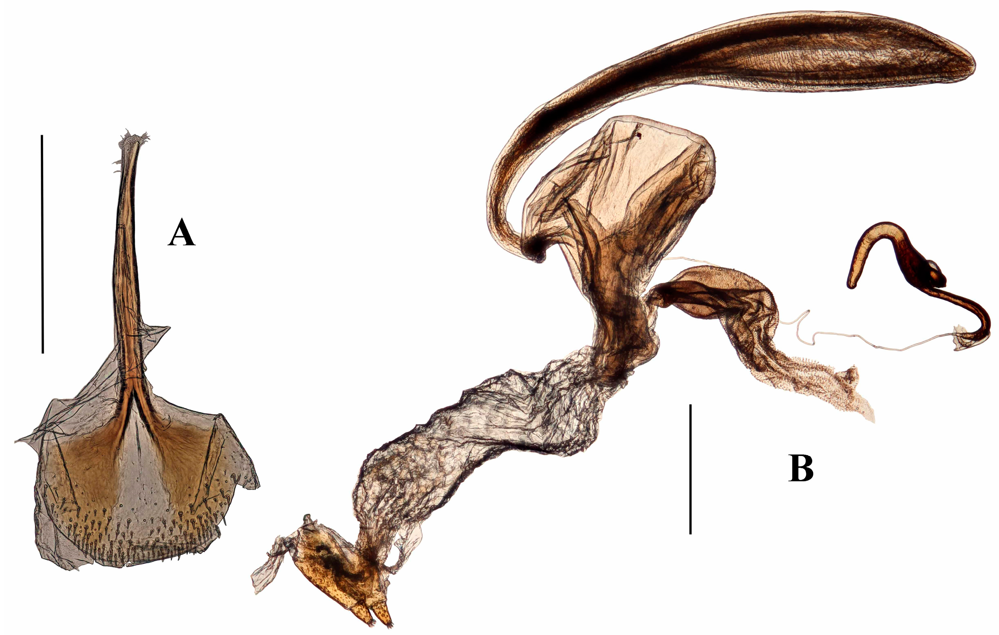 Diversity 10 00082 g010