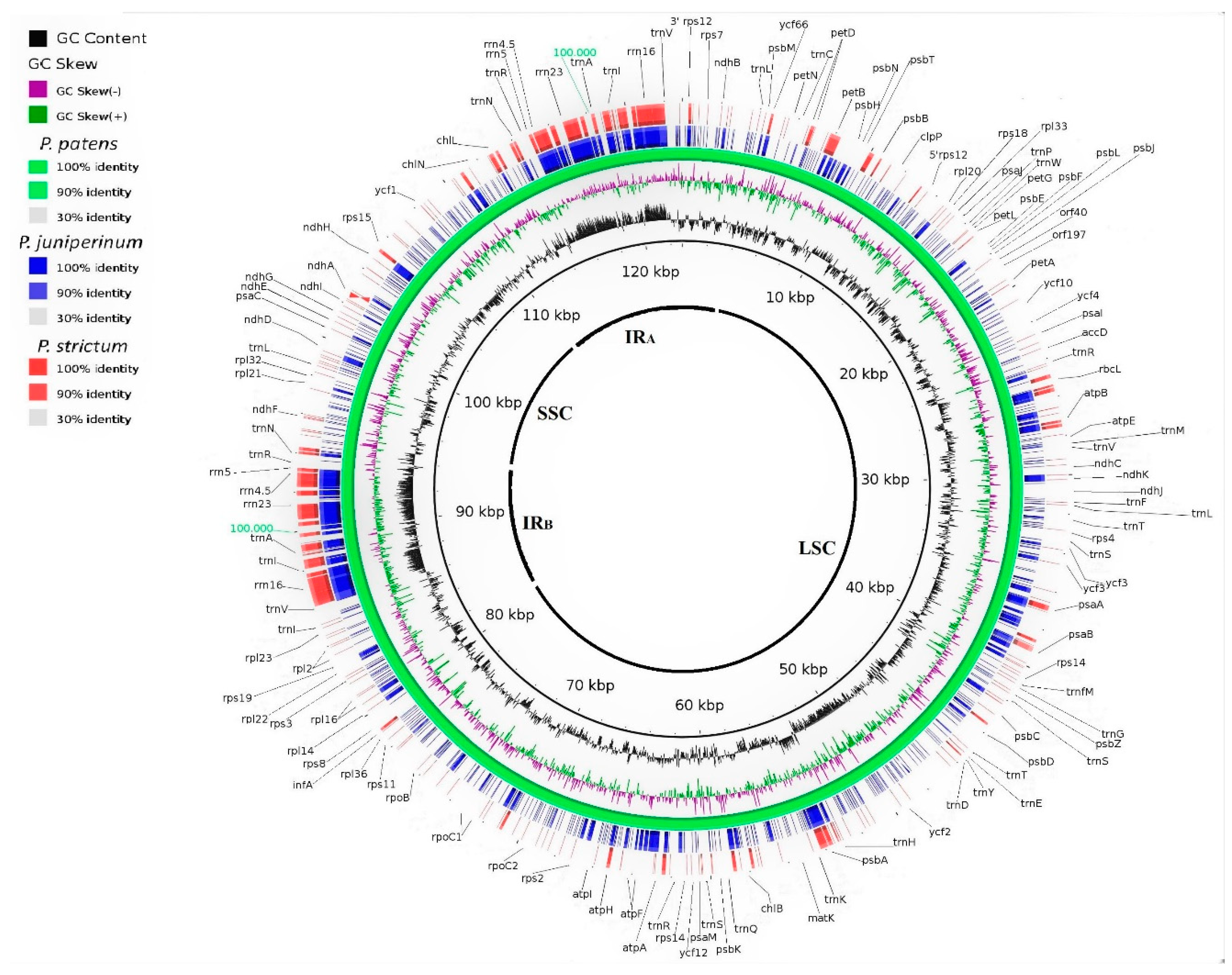 Diversity 10 00089 g001