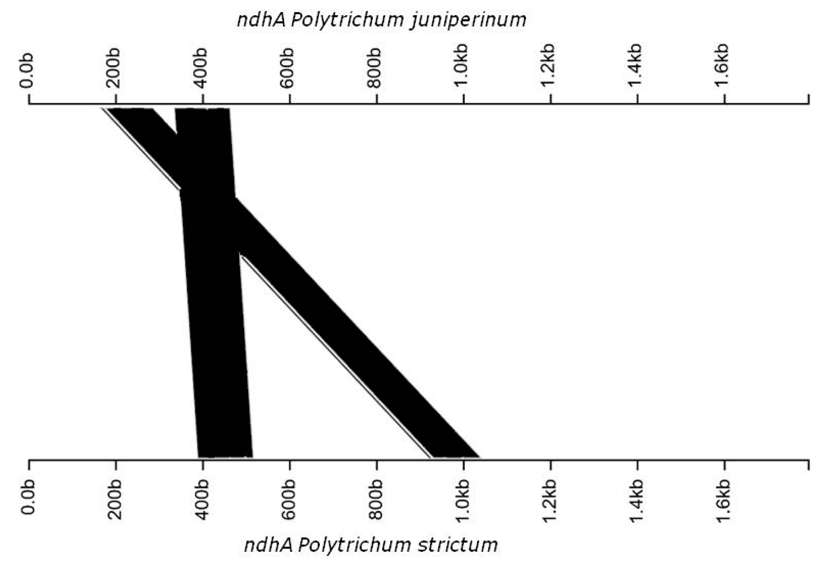Diversity 10 00089 g002