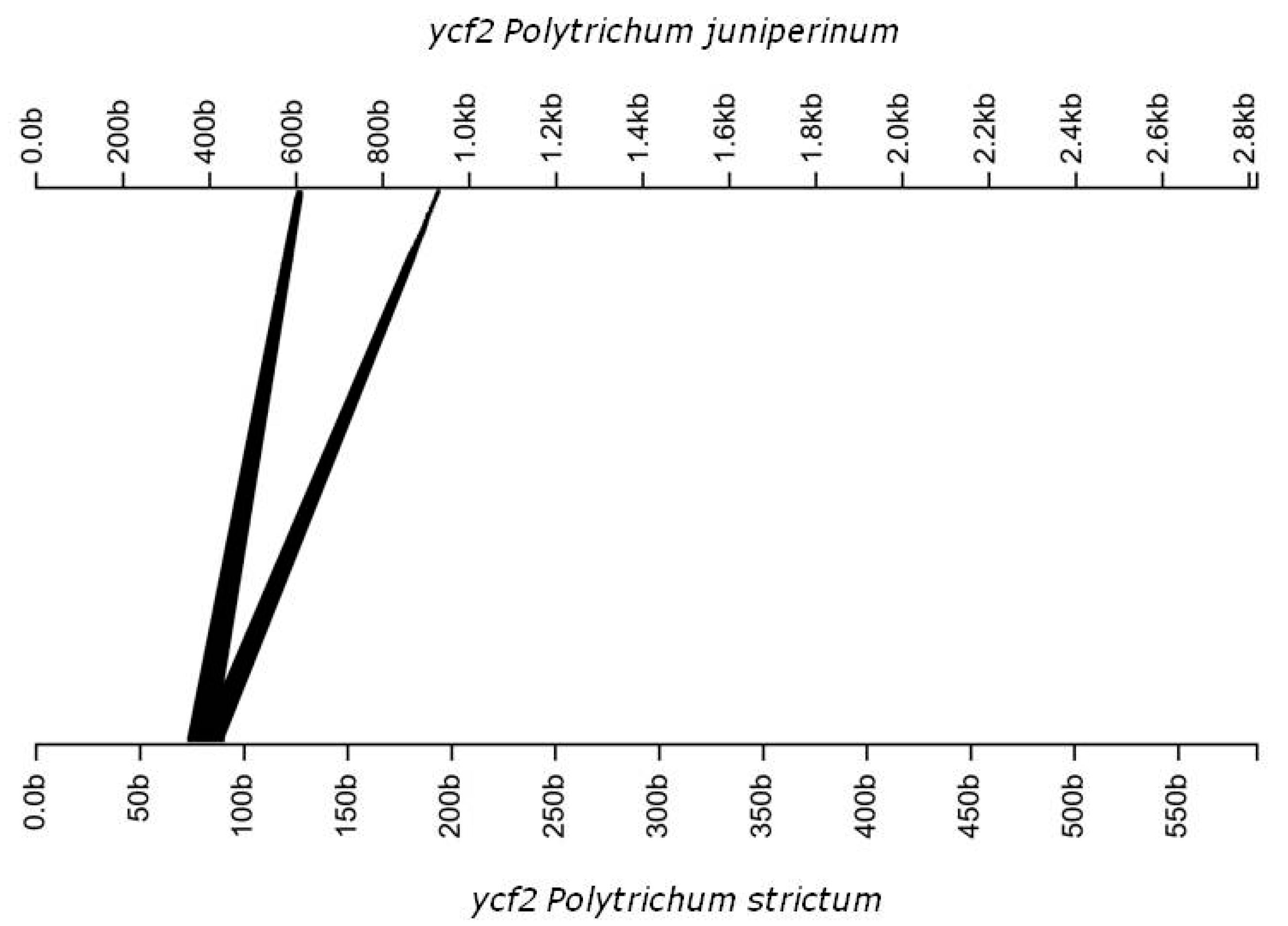 Diversity 10 00089 g003