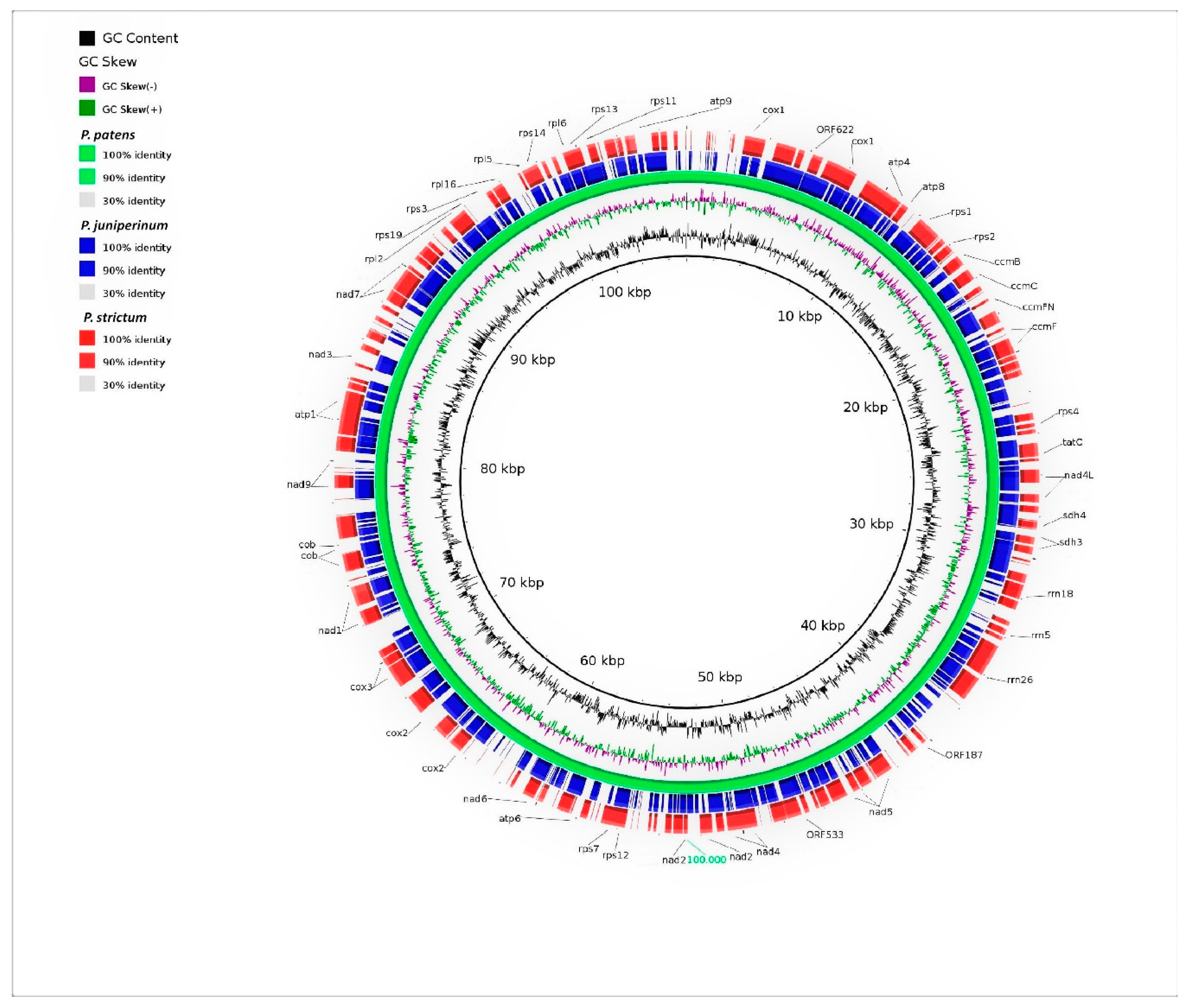 Diversity 10 00089 g004