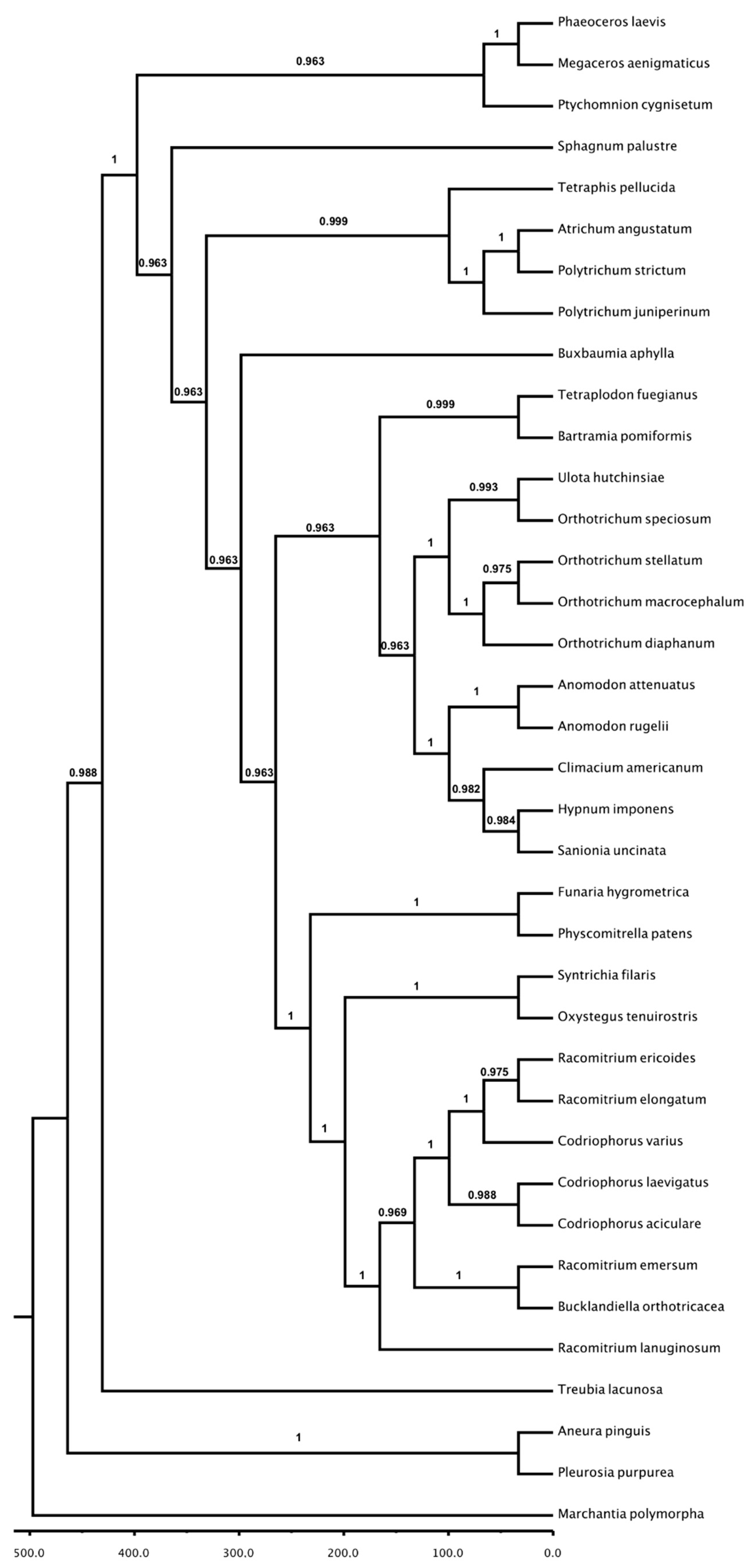 Diversity 10 00089 g006