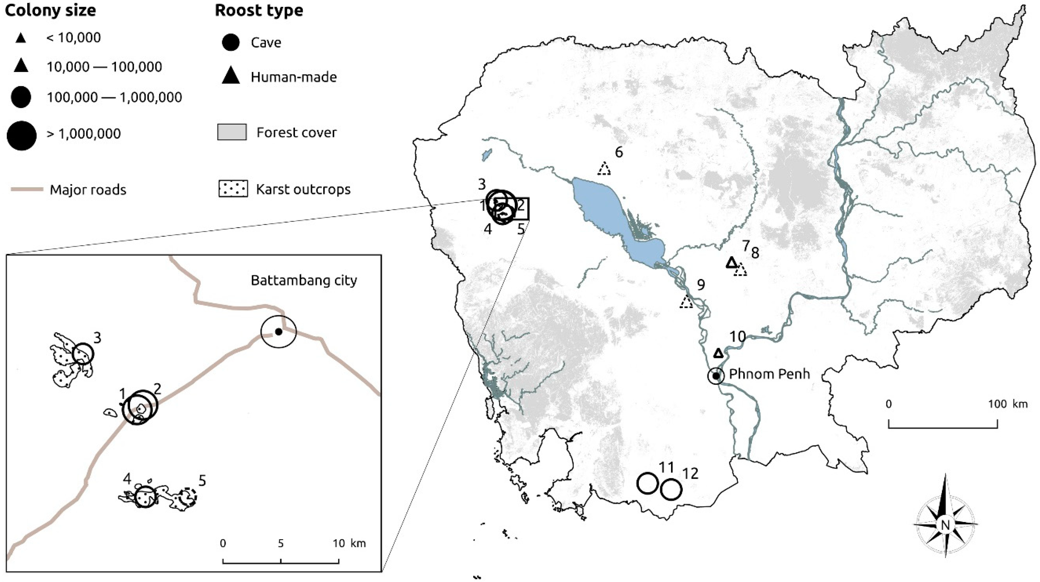 Diversity 10 00091 g001