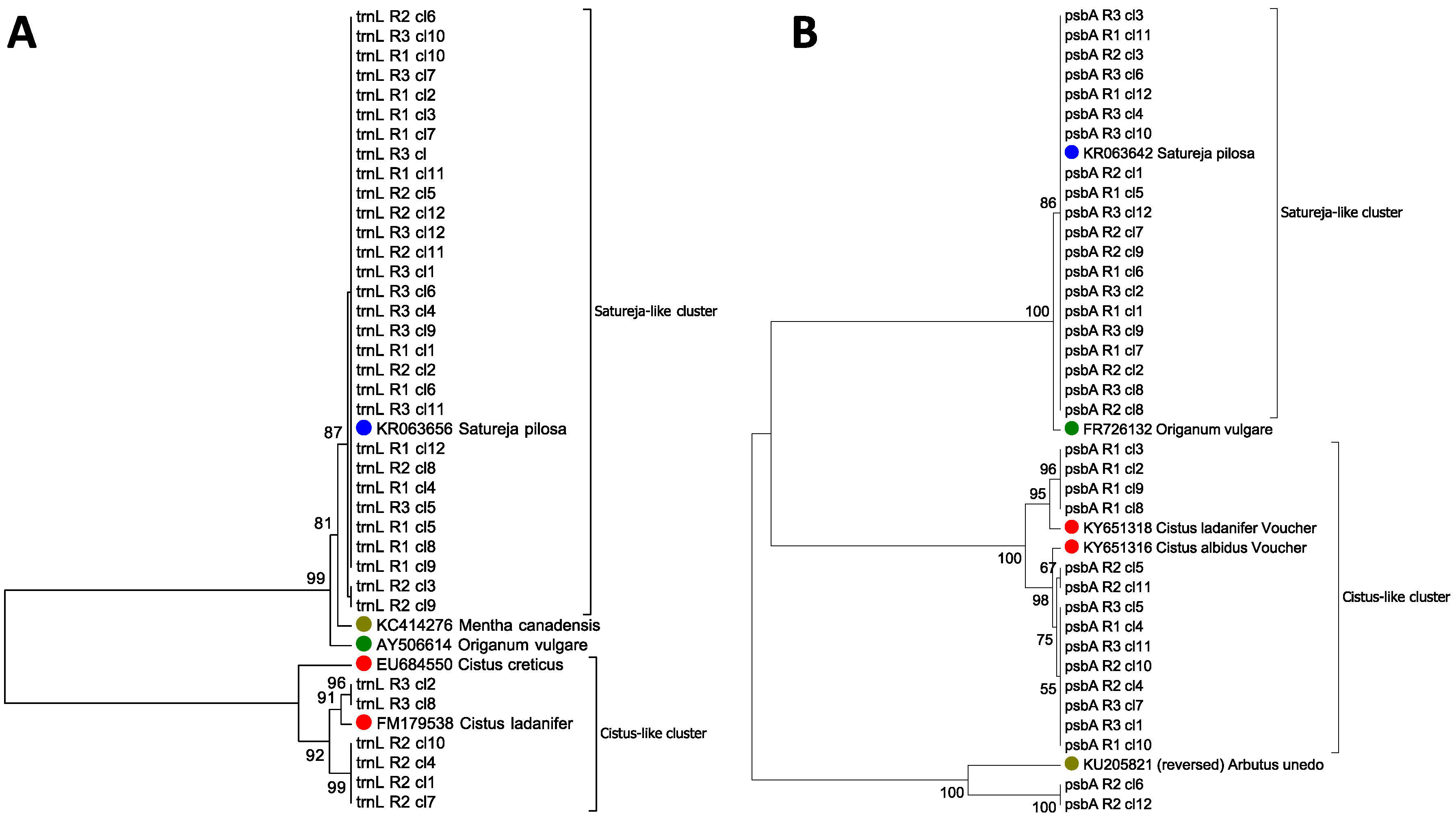 Diversity 10 00098 g002 Diversity 10 00098 g002