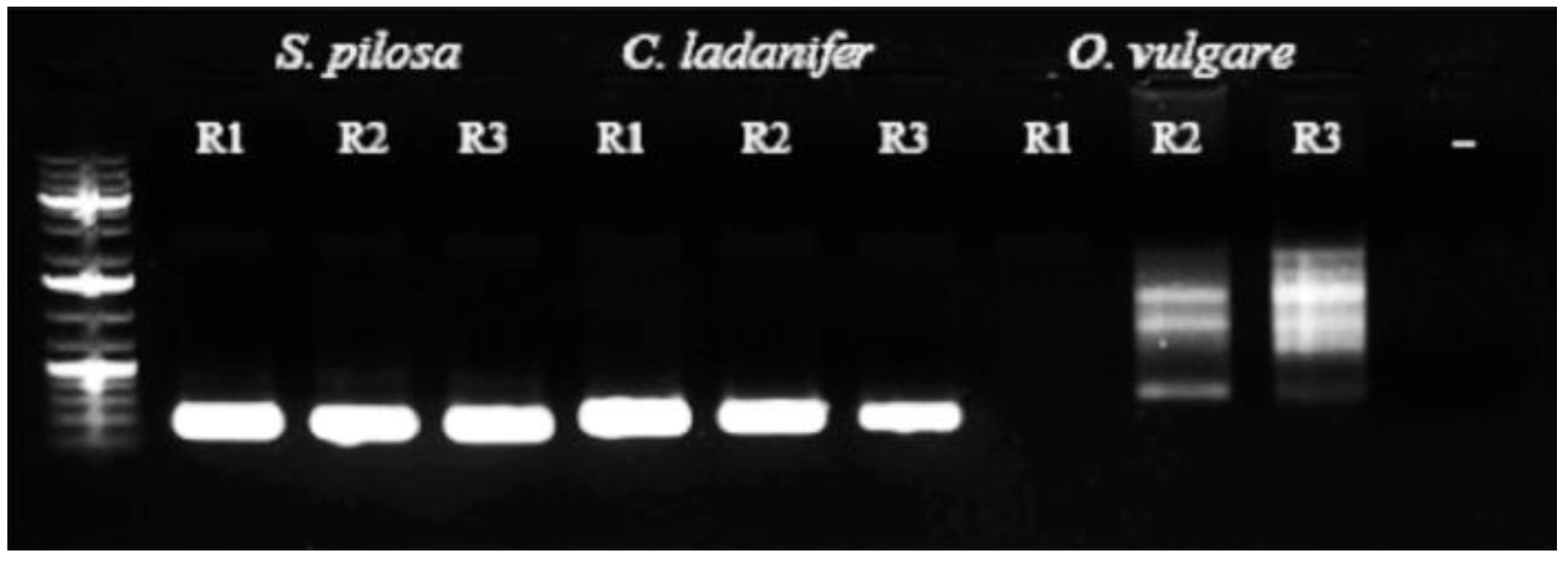 Diversity 10 00098 g004 Diversity 10 00098 g004
