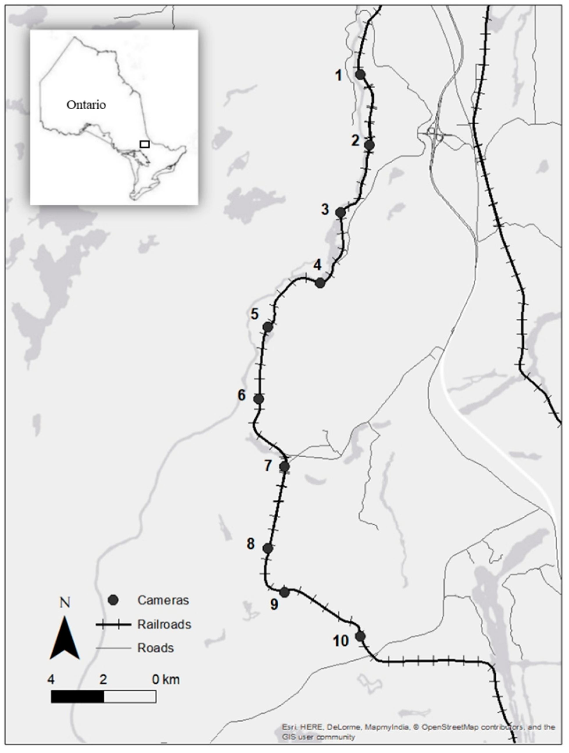 Diversity 10 00104 g001