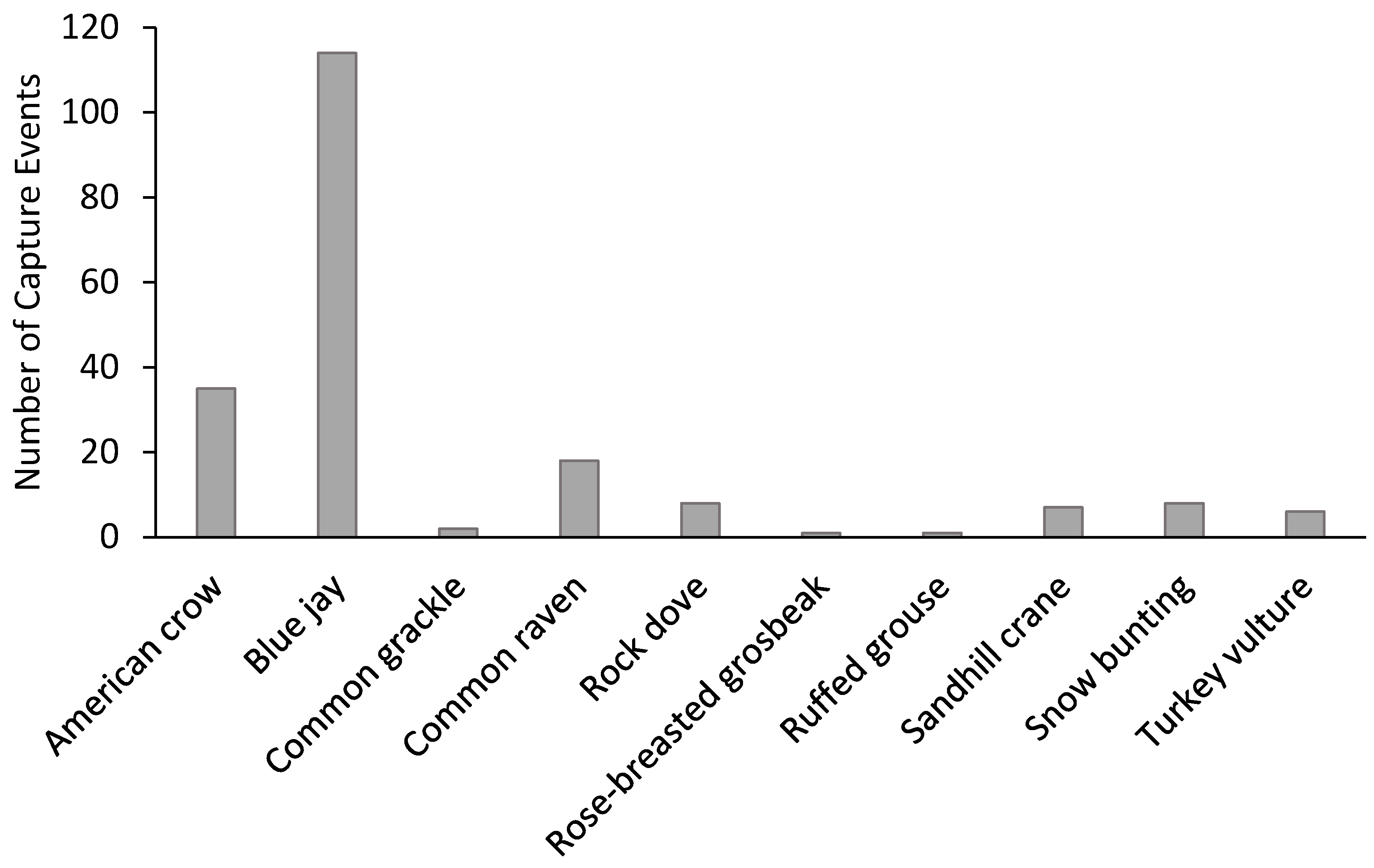 Diversity 10 00104 g004