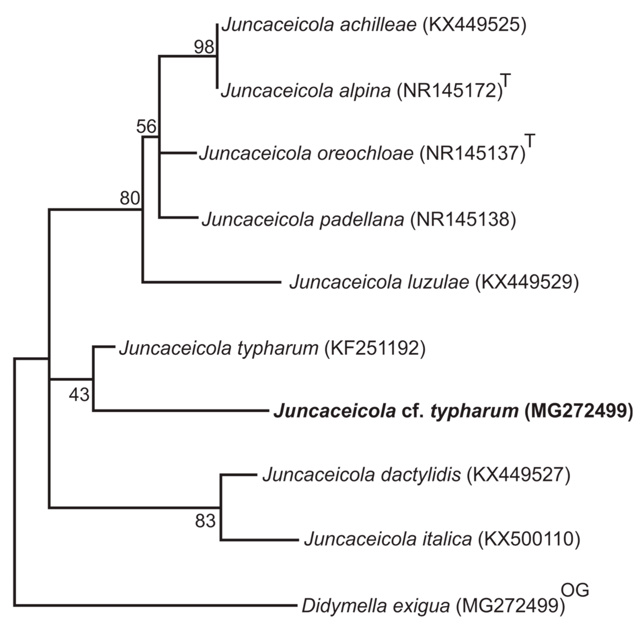 Diversity 10 00107 g003 Diversity 10 00107 g003