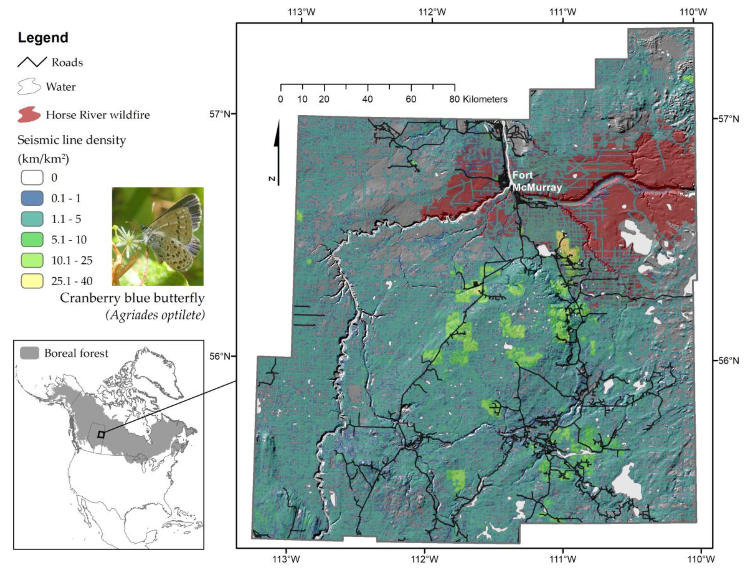 Diversity 10 00112 g001 Diversity 10 00112 g001