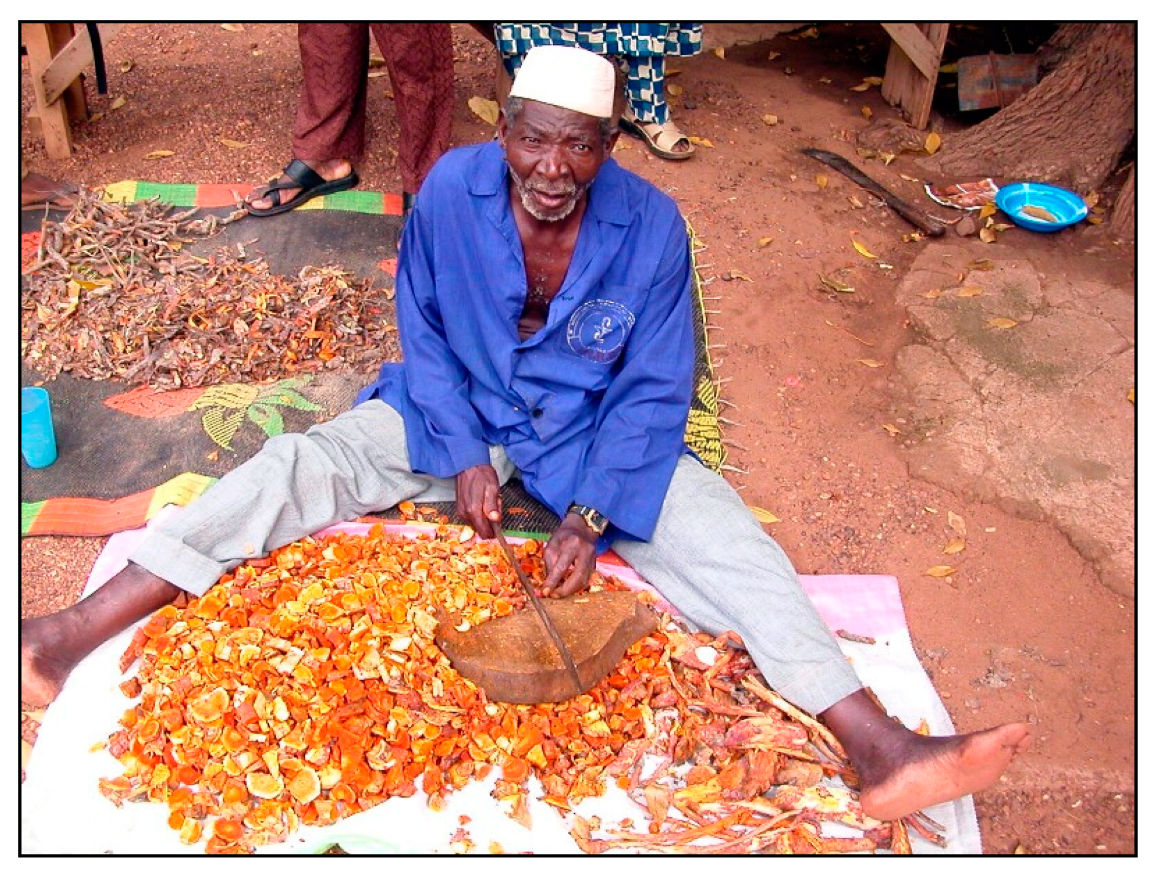 Diversity 10 00123 g007