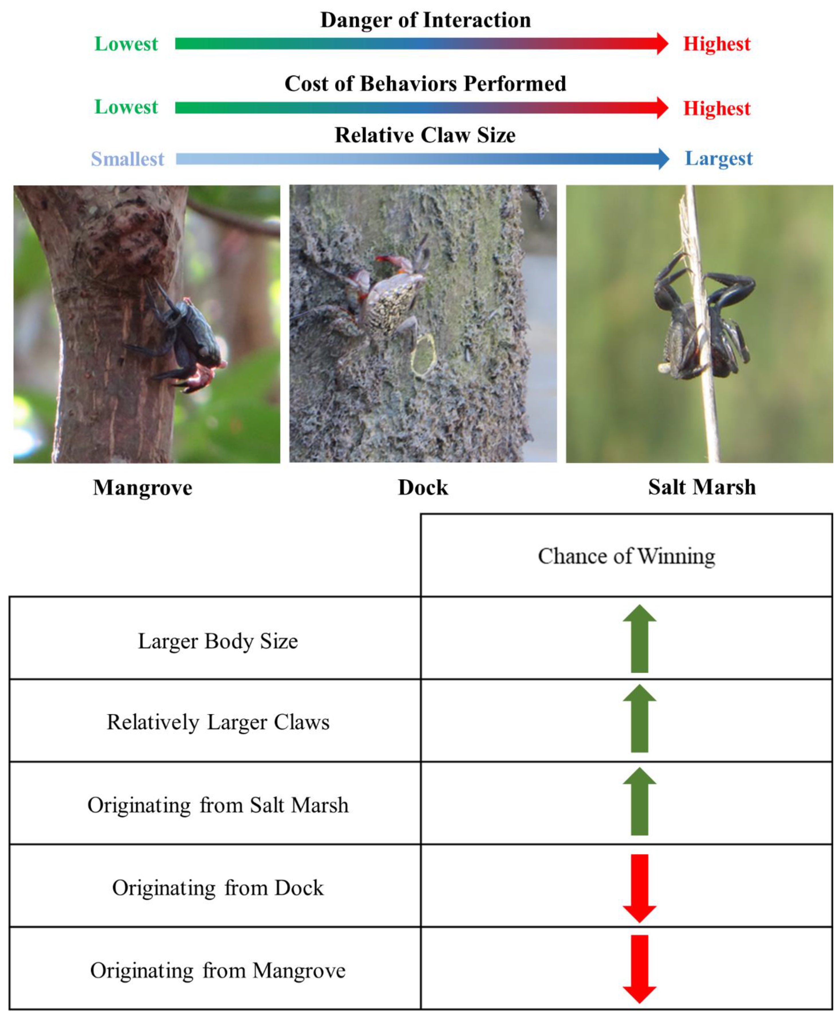 Diversity 11 00006 g004