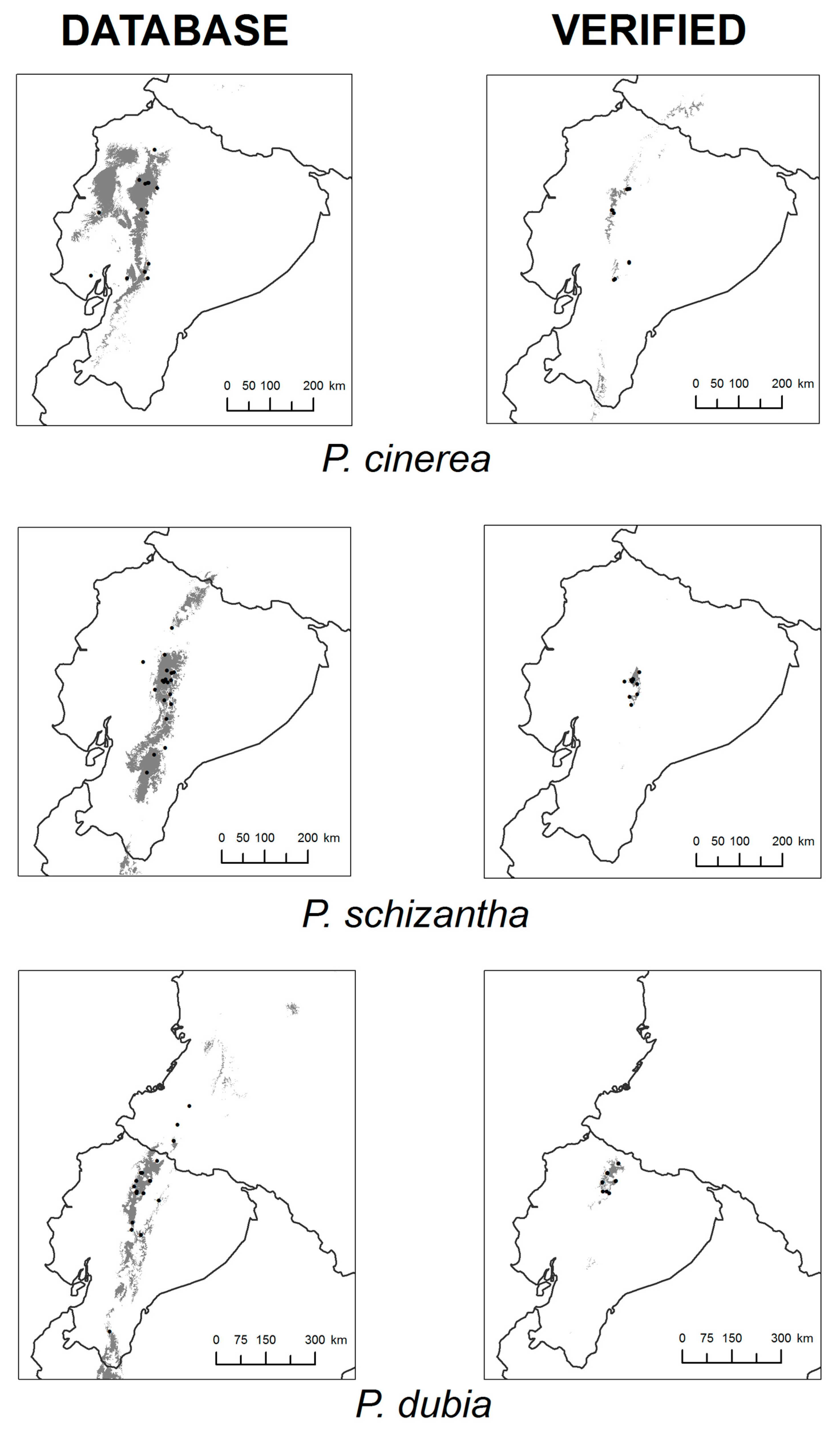 Diversity 11 00010 g001 Diversity 11 00010 g001