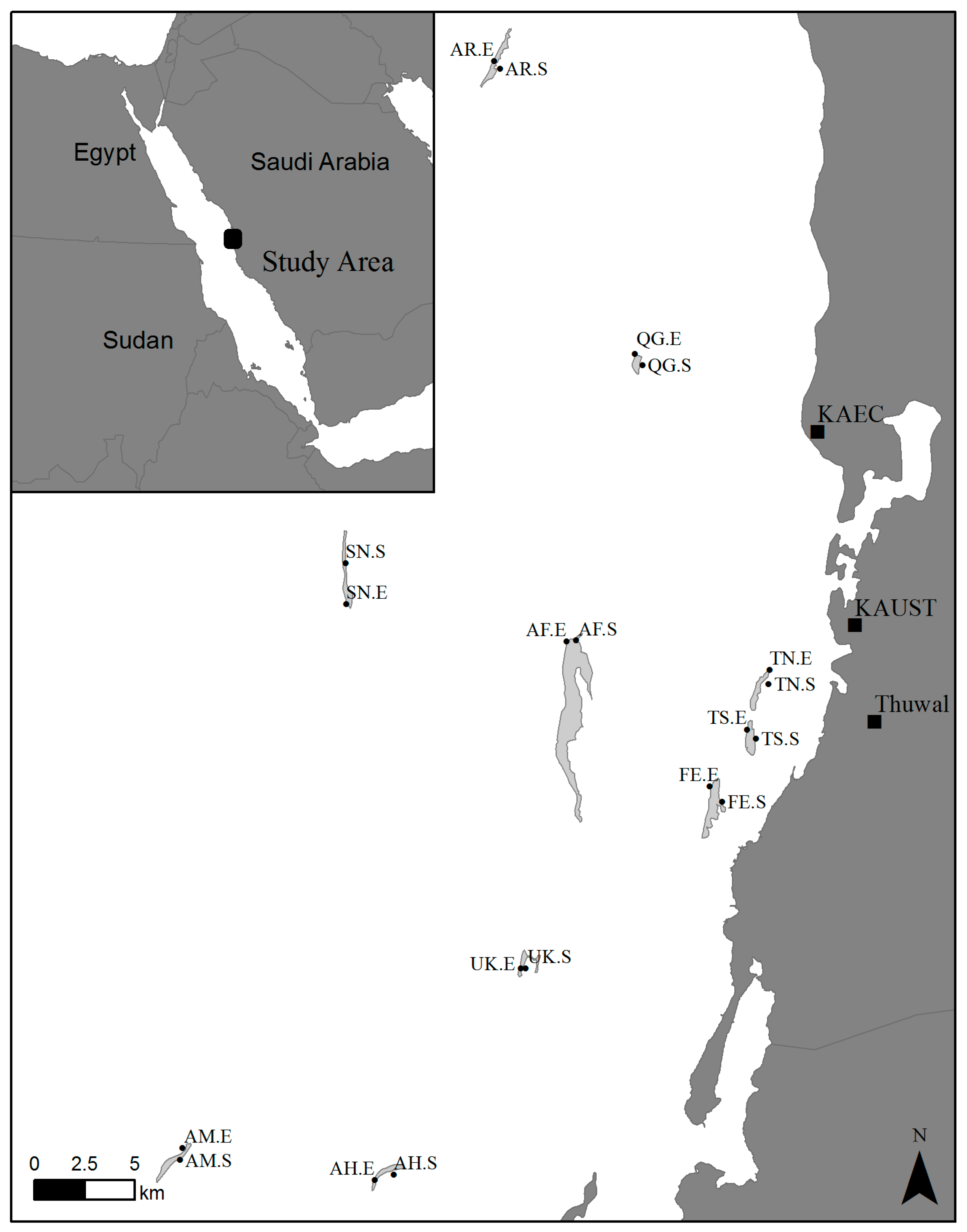 Diversity 11 00018 g001