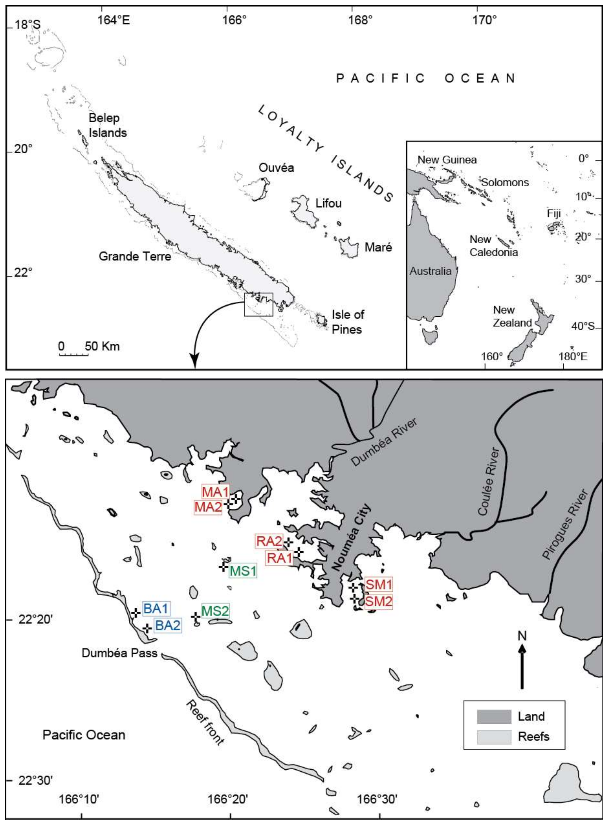 Diversity 11 00021 g001